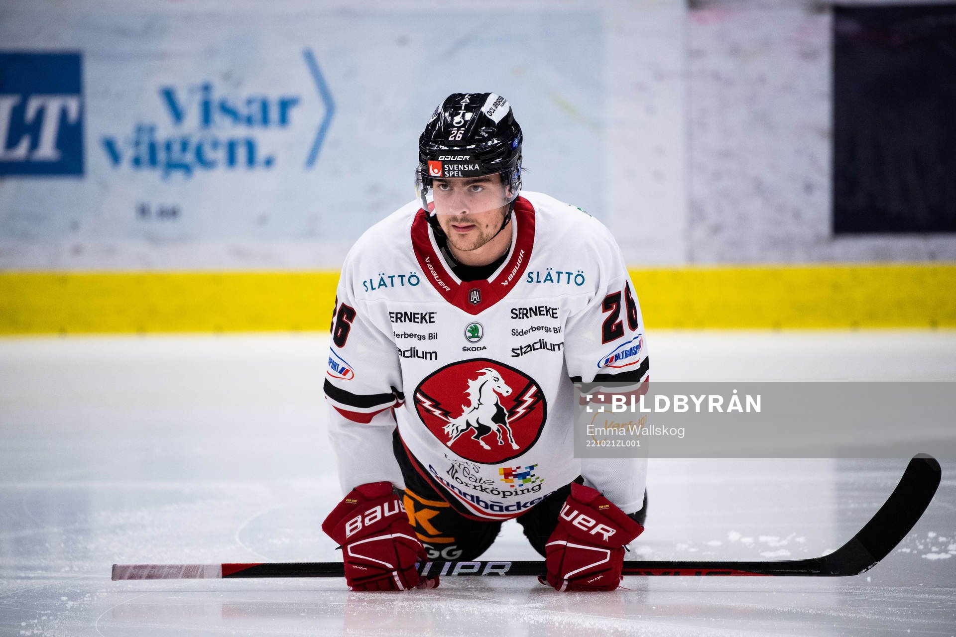 Vita Hästens Alex Brännstam