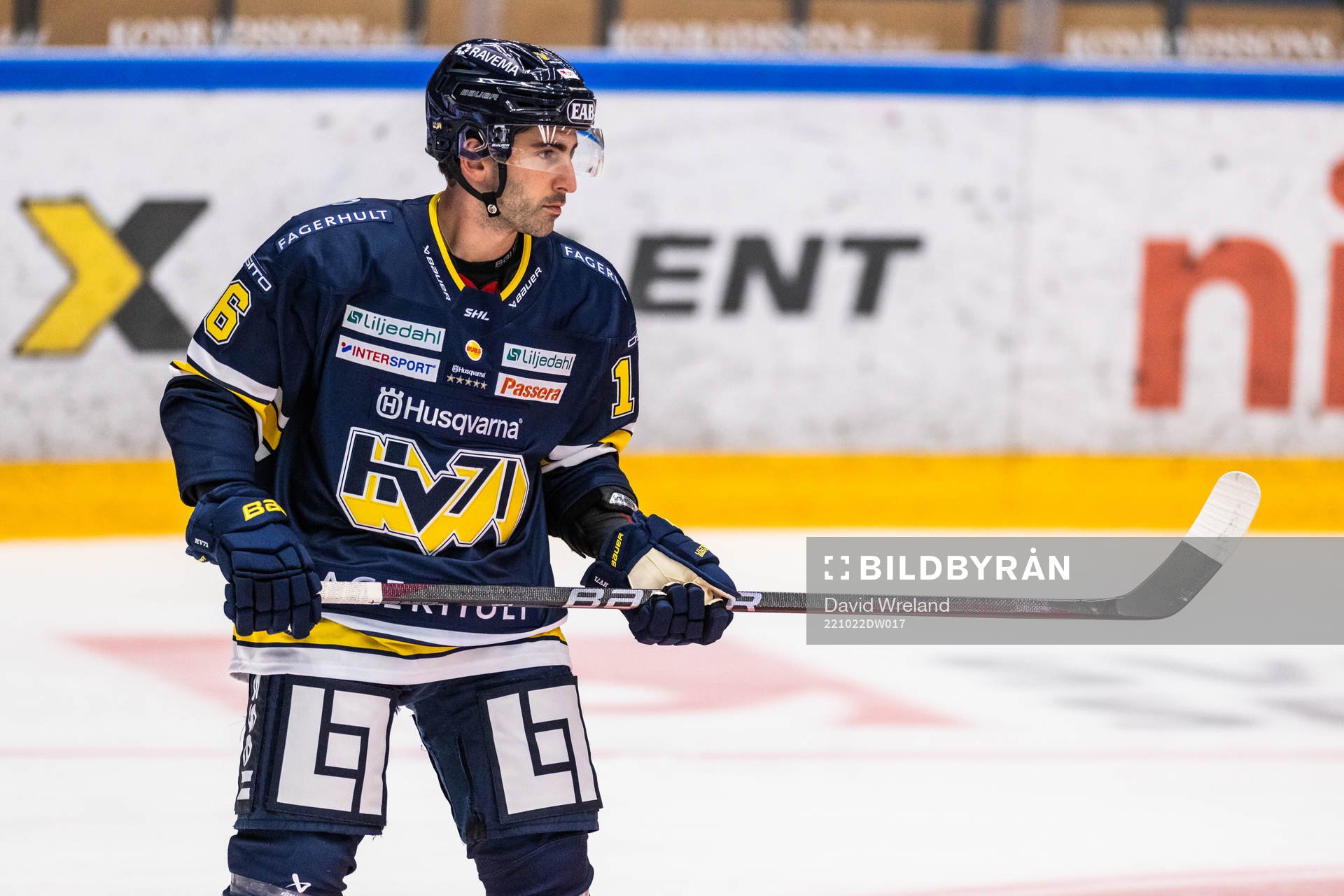 HV71s Joseph Laleggia