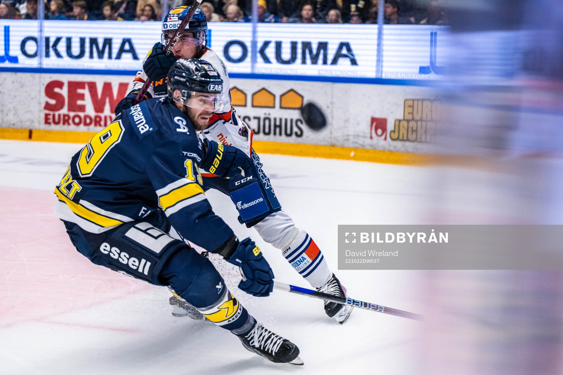 HV71s Sam Vigneault