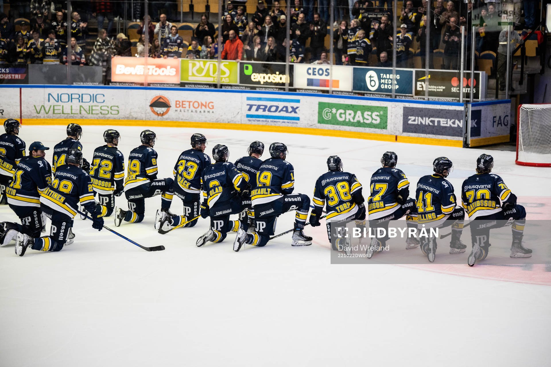 HV71s spelare