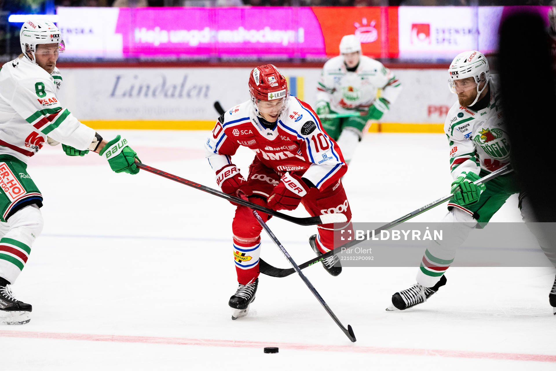 Timrås Robin Alvarez