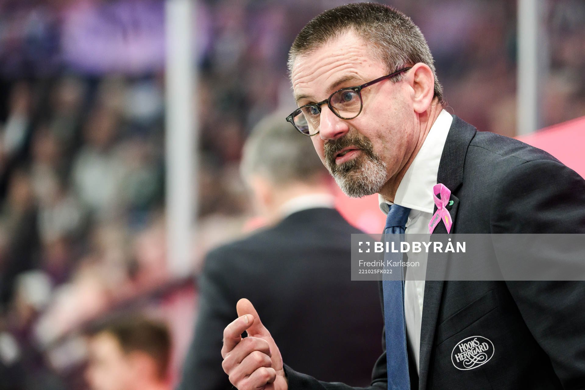HV71s tränare Tommy Samuelsson