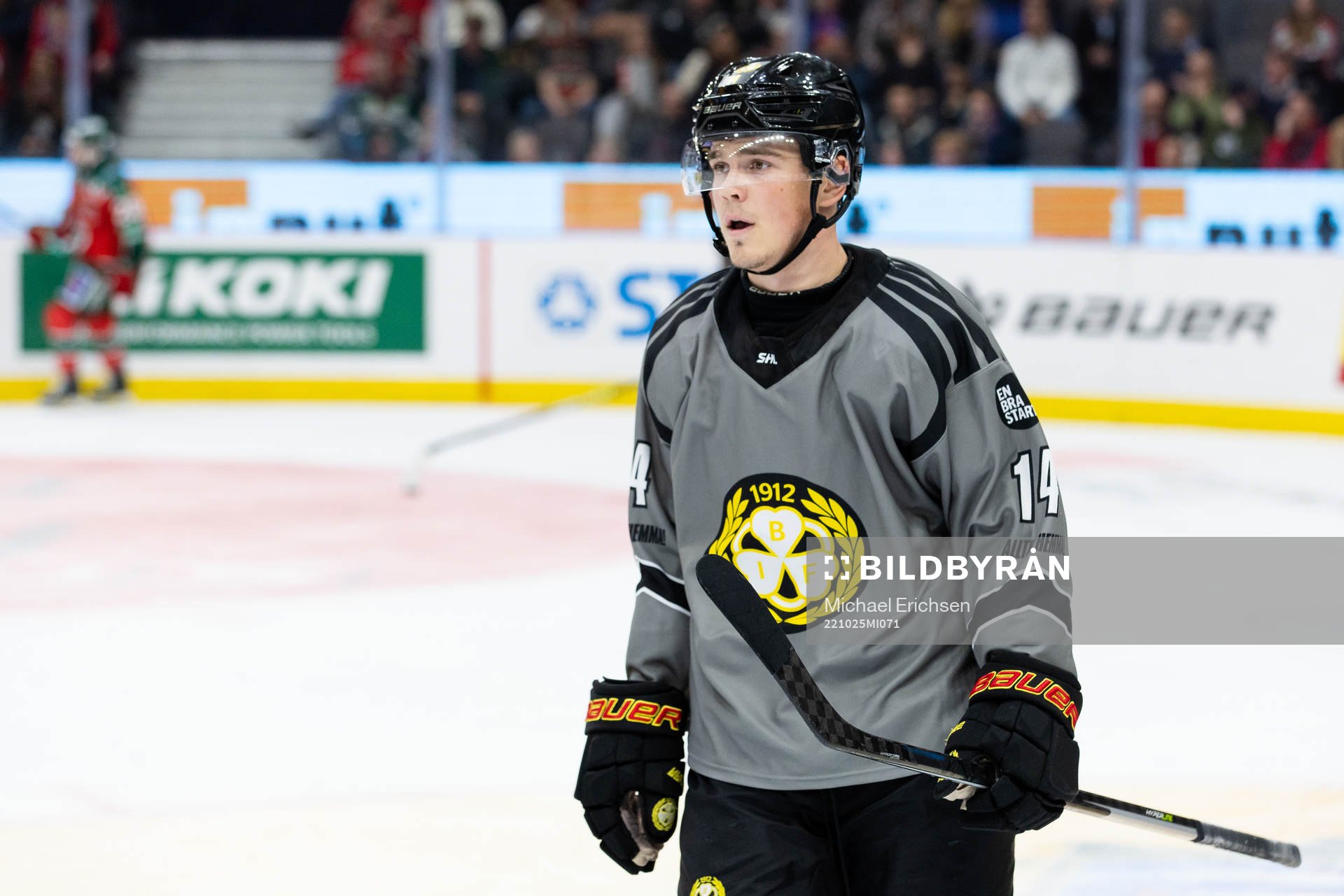 Brynäs Alexander Ljungkrantz