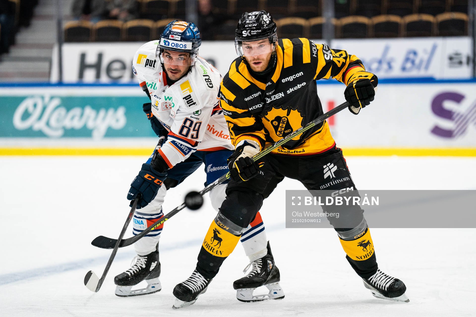 Växjös Jayden Halbgewachs och Skellefteås Filip Sandberg