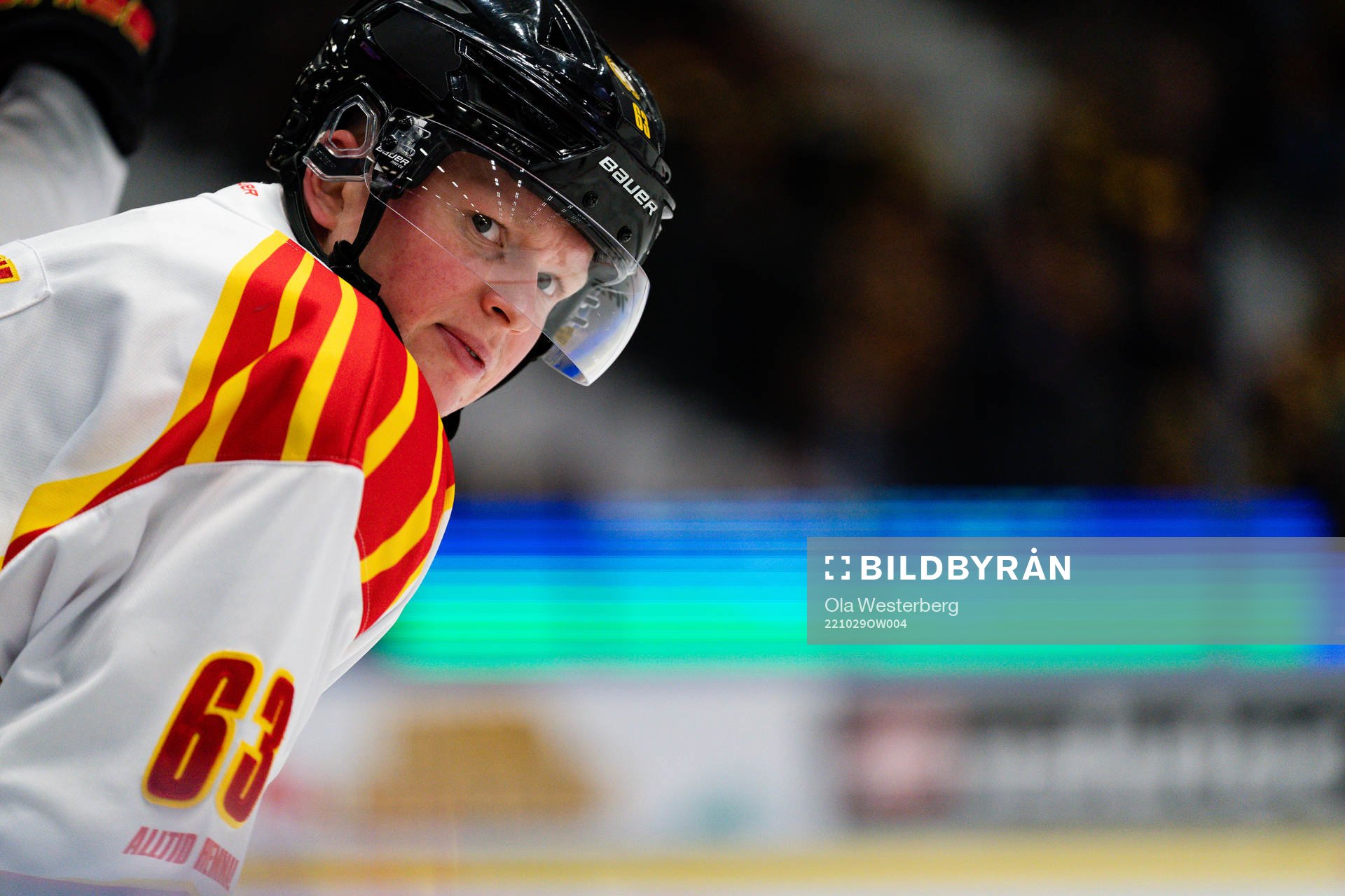 Brynäs Julius Bergman
