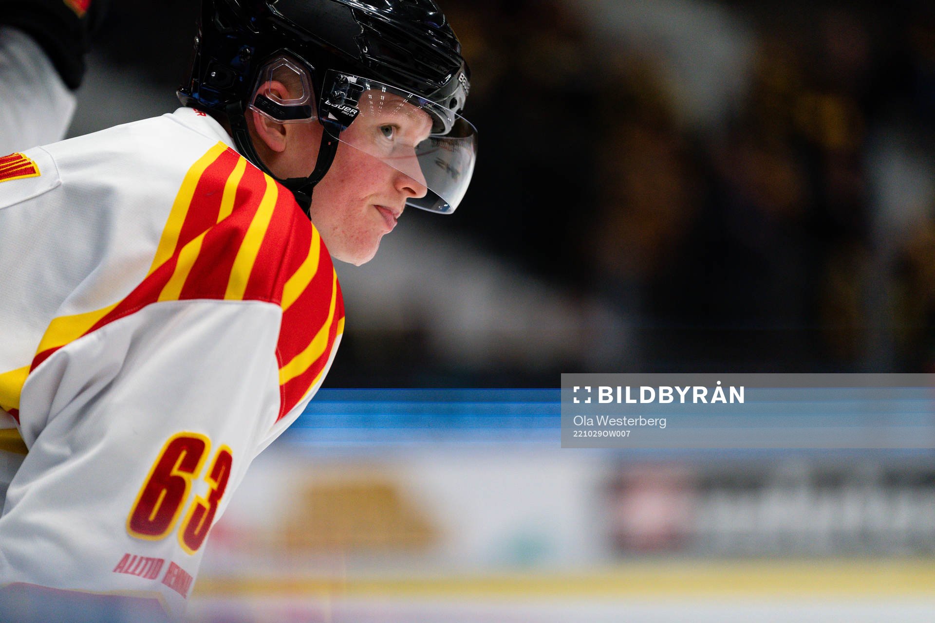 Brynäs Julius Bergman