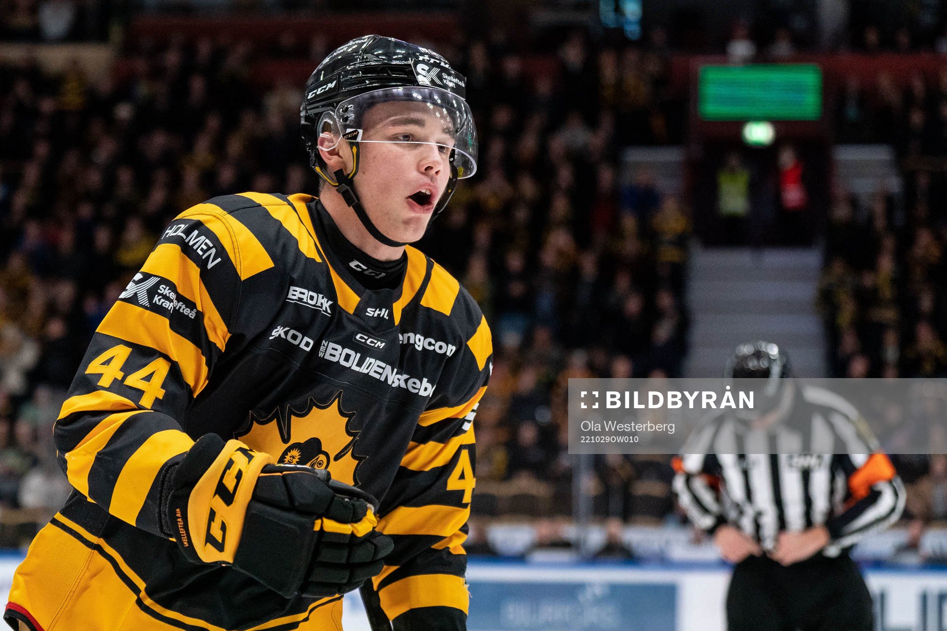 Skellefteås Elias Salomonsson jublar
