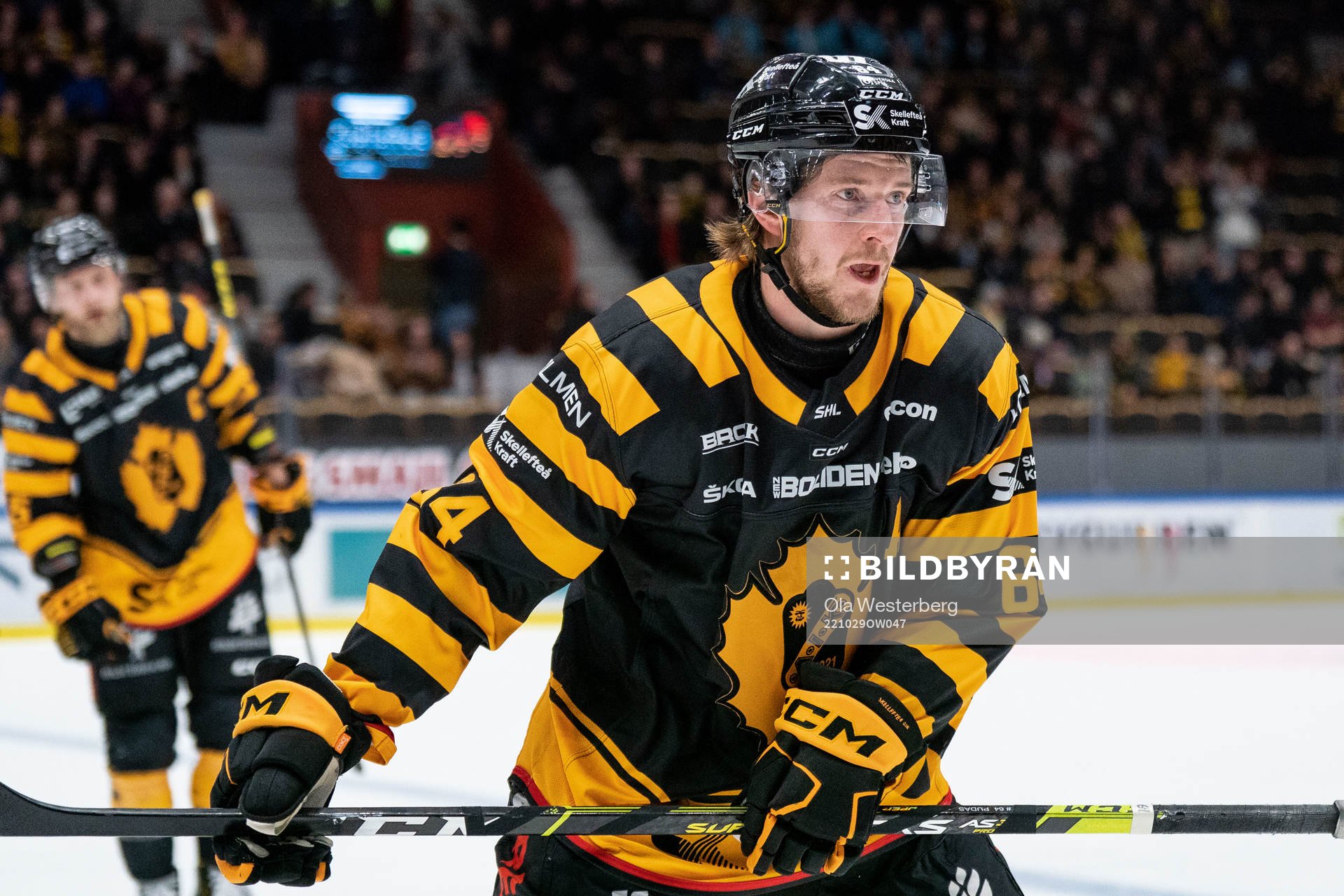 Skellefteås Jonathan Pudas jublar