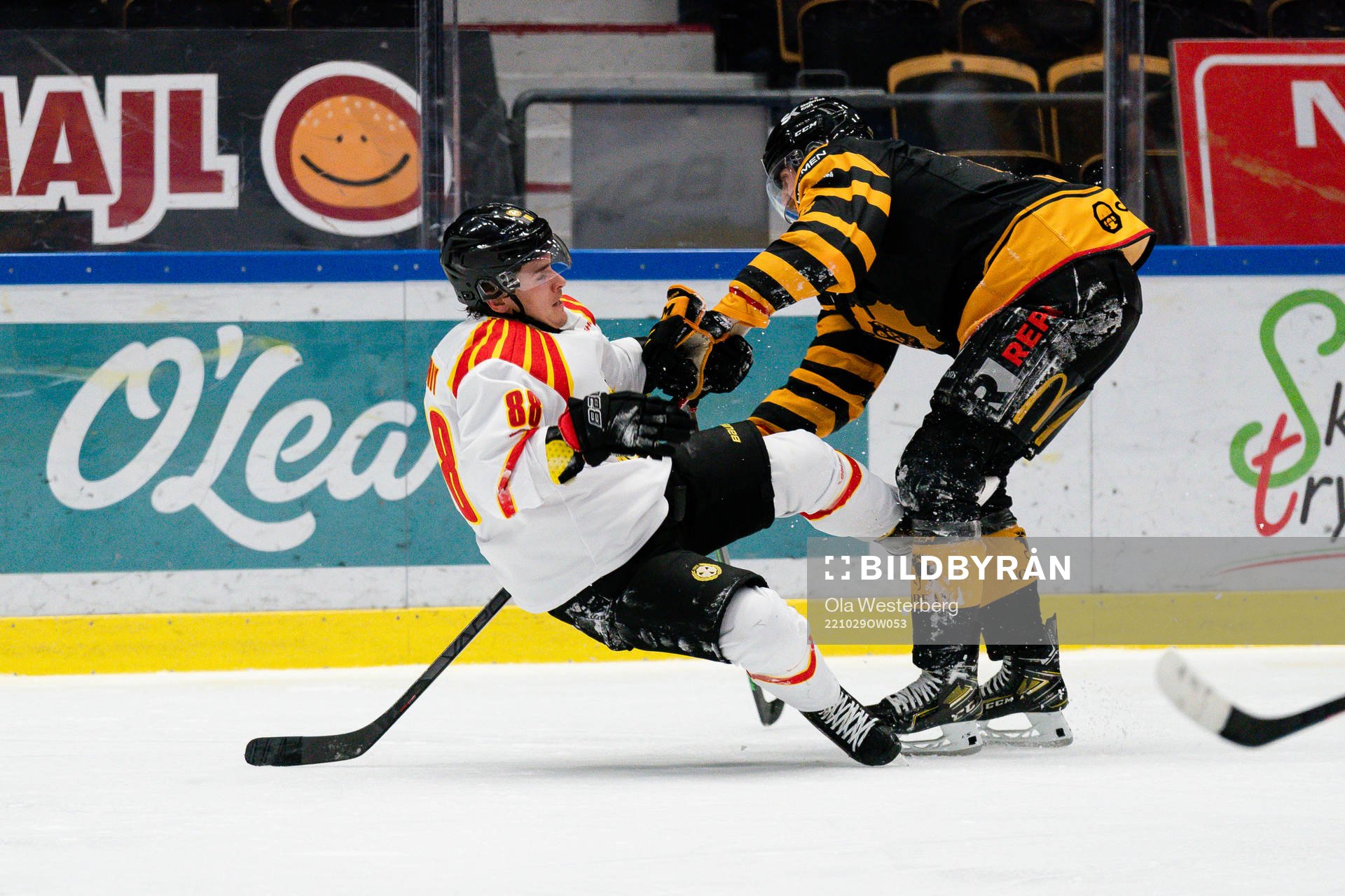 Brynäs Dmytro Timashov och Skellefteås Petter Granberg