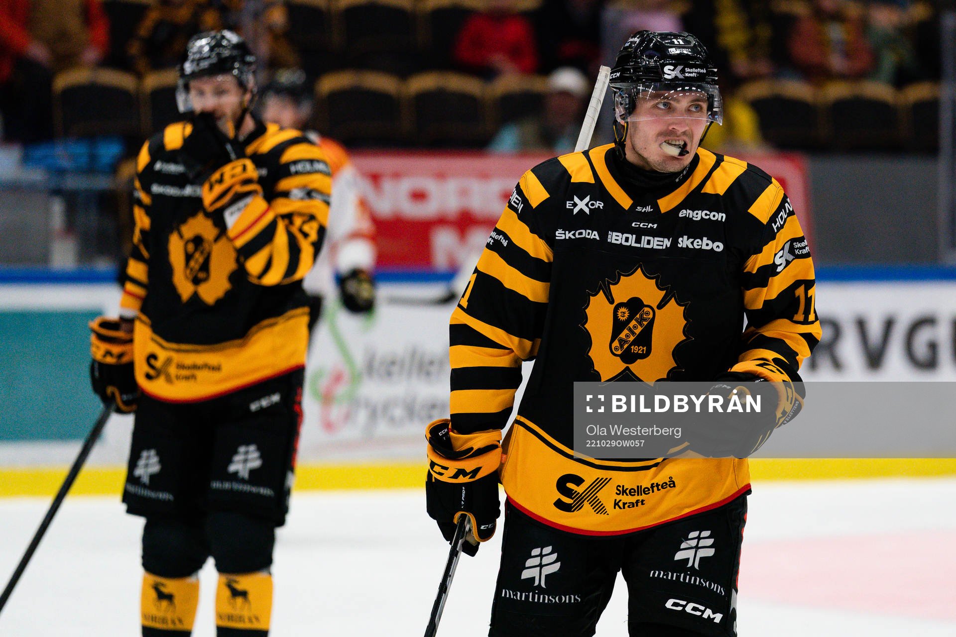 Skellefteås Max Lindholm