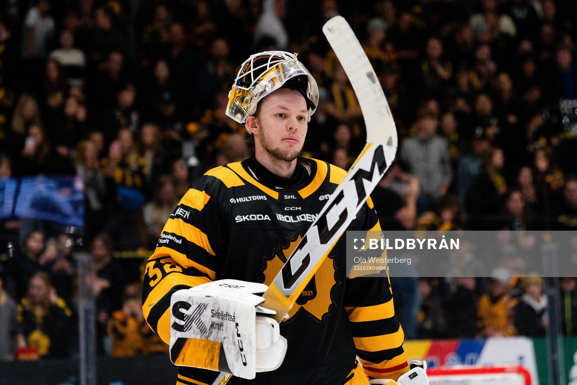 Skellefteås målvakt Linus Söderström