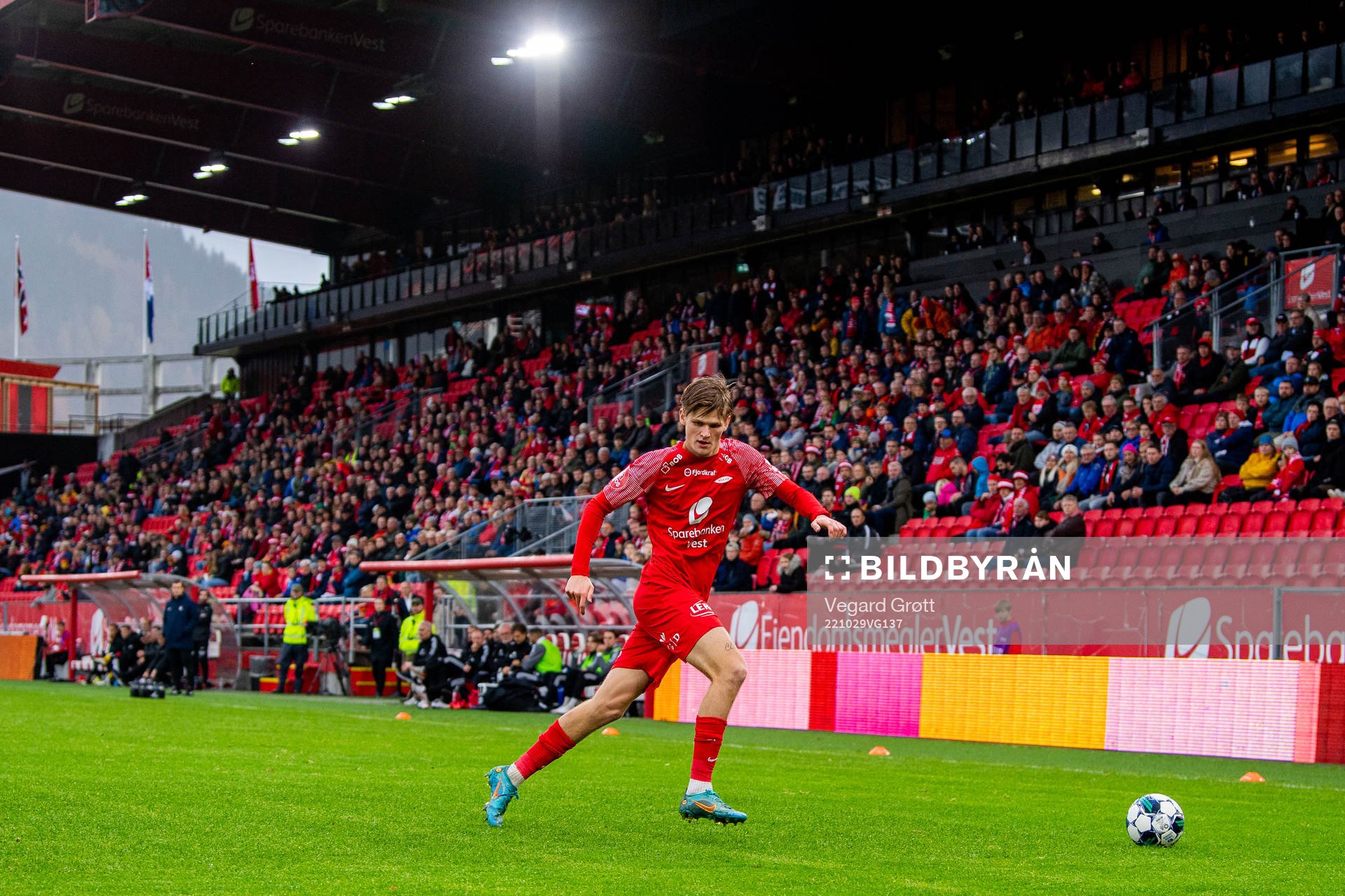 David Møller Wolfe of Brann