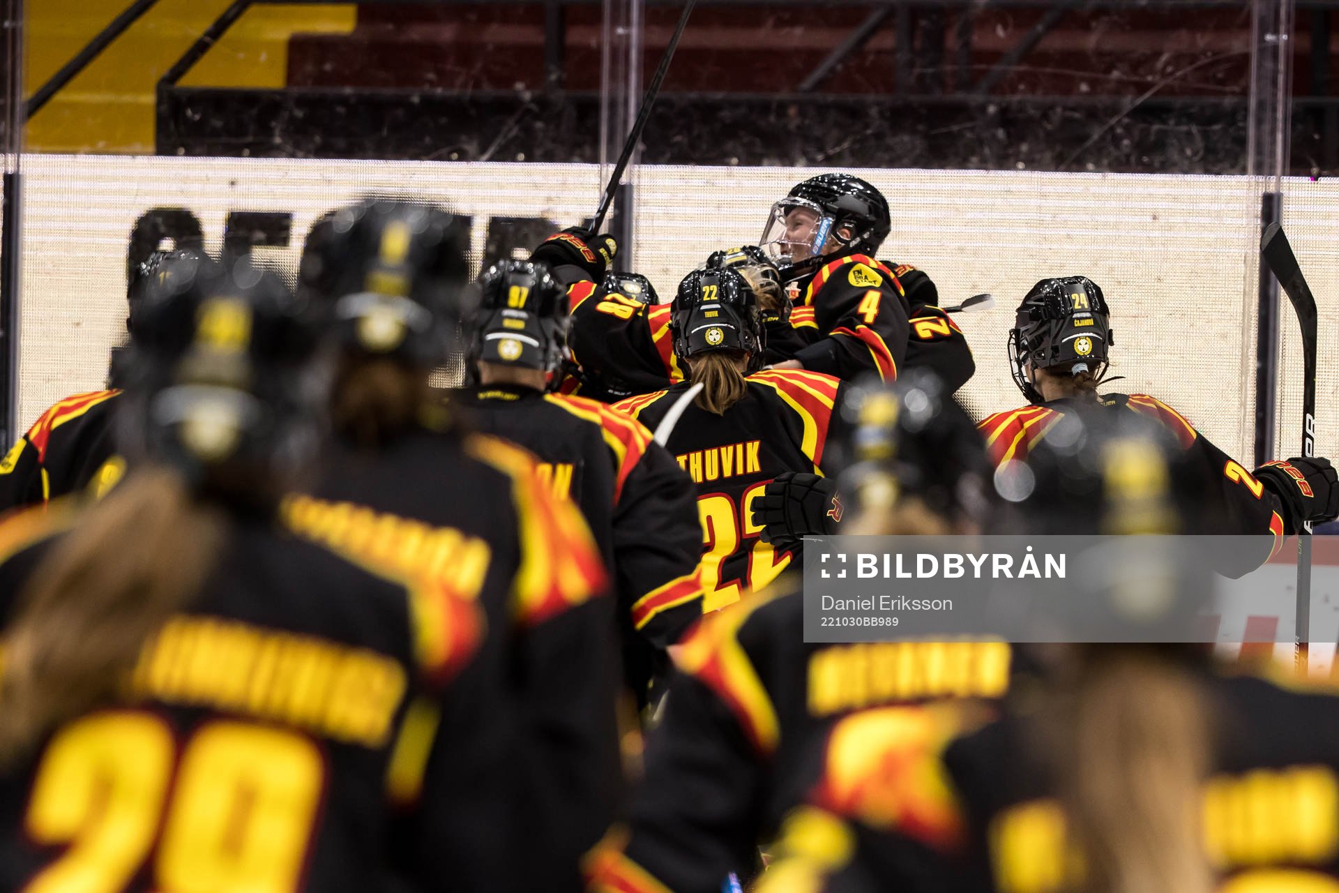 Brynäs spelarna jublar