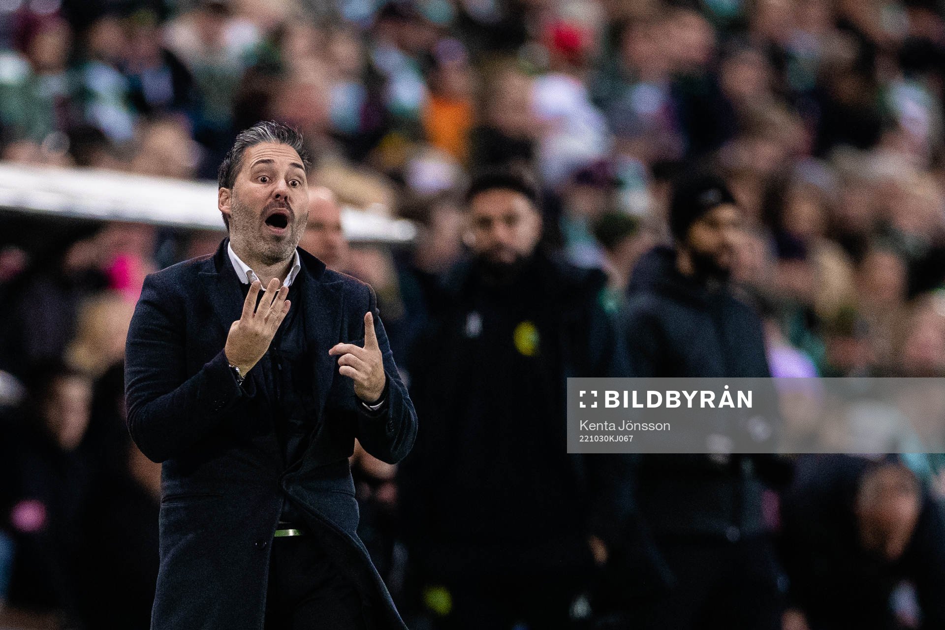 Hammarbys tränare Marti Cifuentes under fotbollsmatchen i Allsvenskan mellan Hammarby och Kalmar den 30 oktober 2022 i Stockholm. 