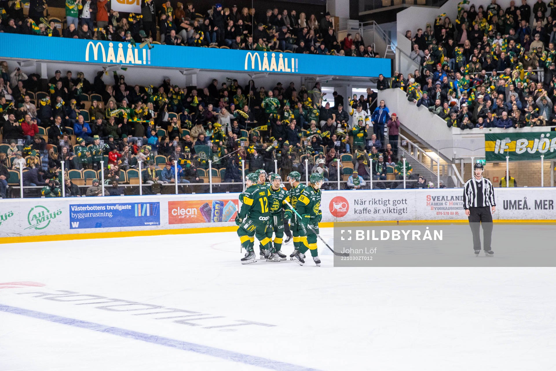 Björklöven jublar