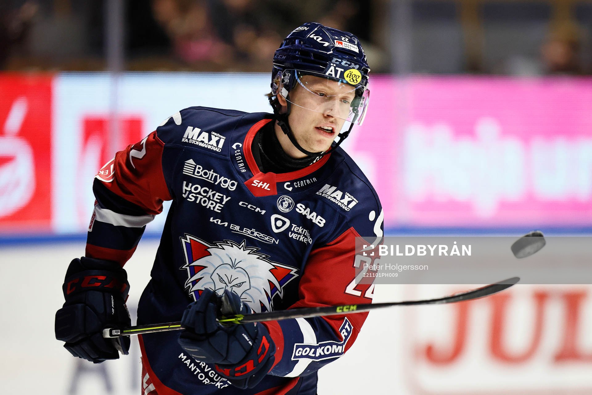 Linköpings Vilmos Gallo