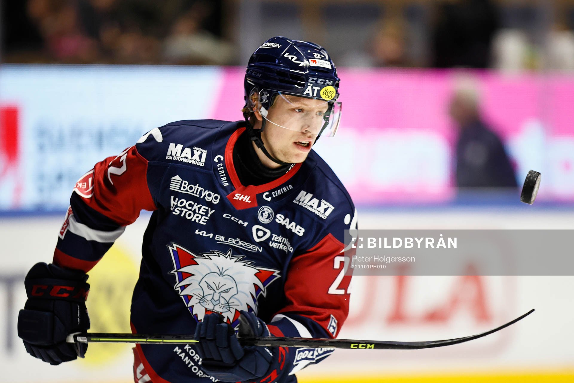 Linköpings Vilmos Gallo