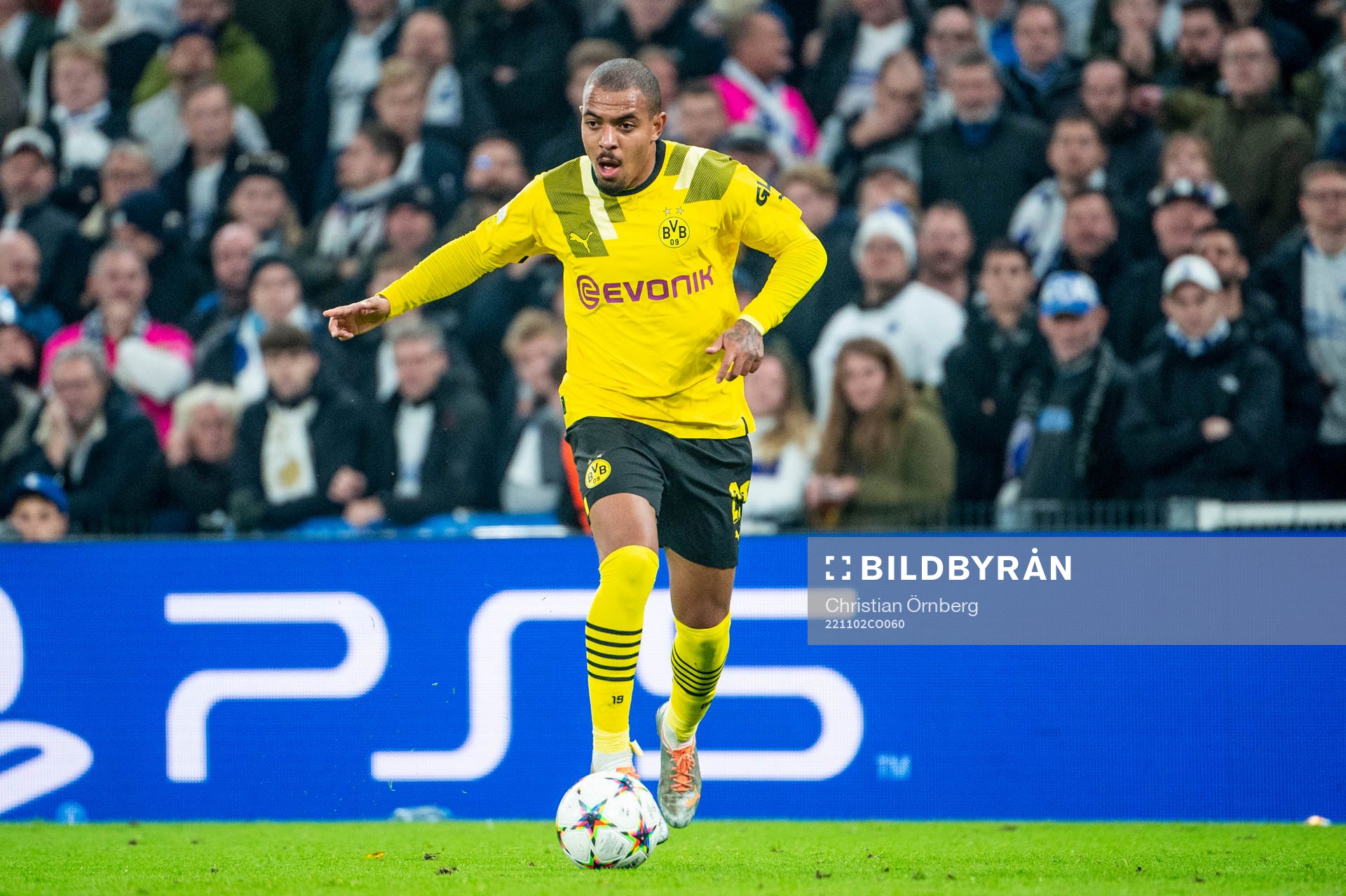 Donyell Malen of Dortmund during the UEFA Champions League football match between FC Copenhagen and Dortmund on November 2, 2022 in Copenhagen.