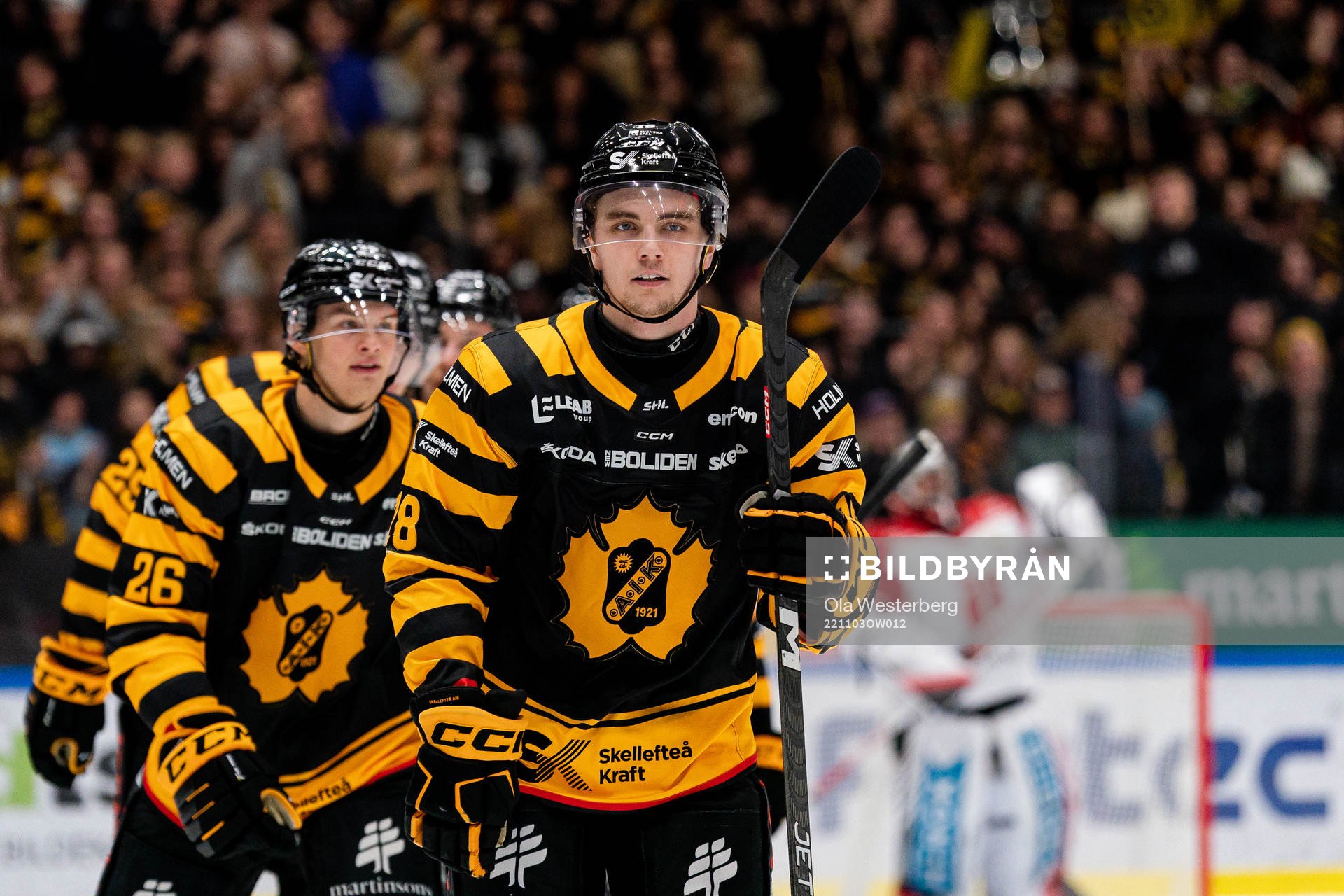 Skellefteås Elias Stenman jublar
