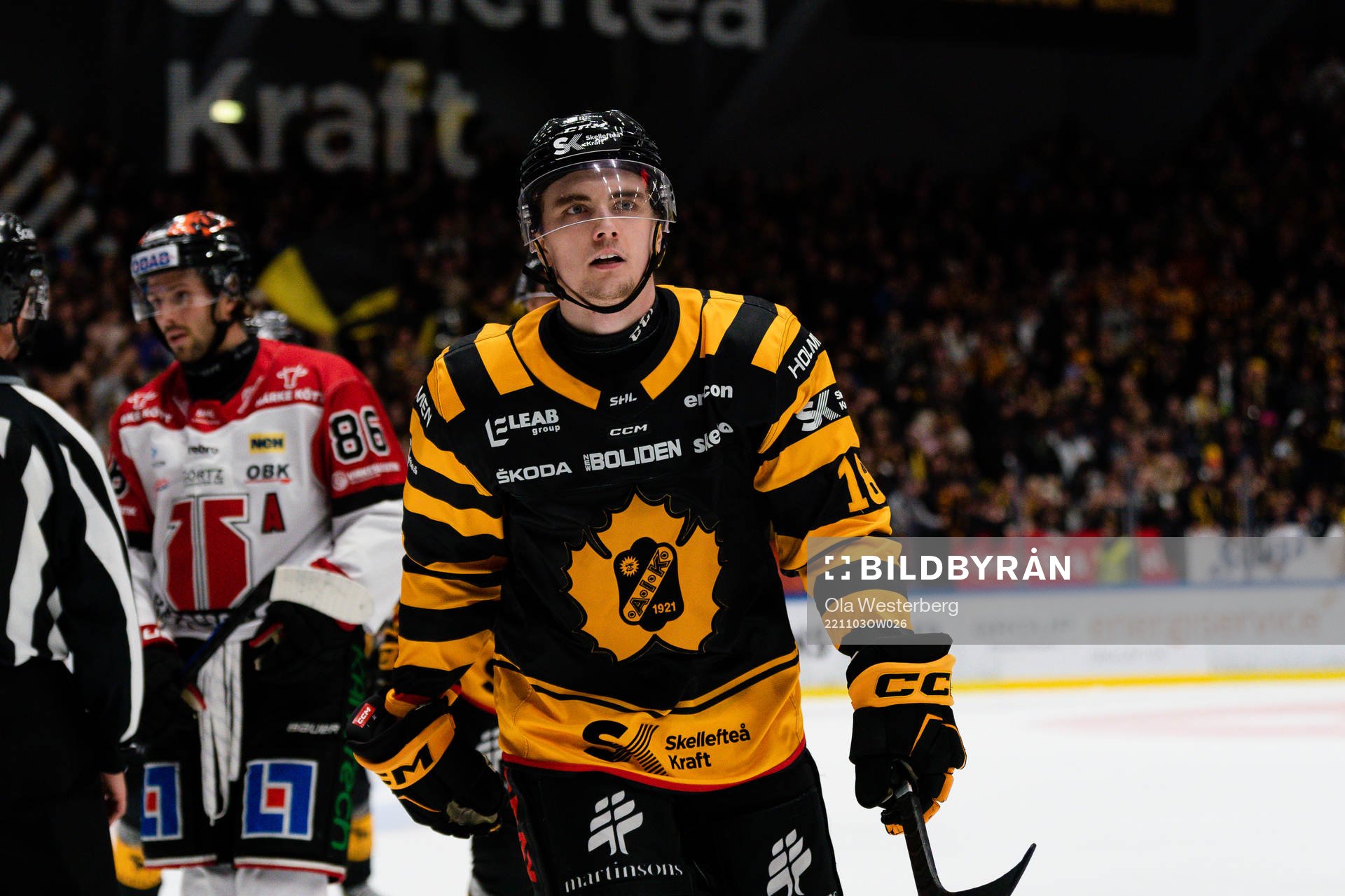 Skellefteås Elias Stenman jublar