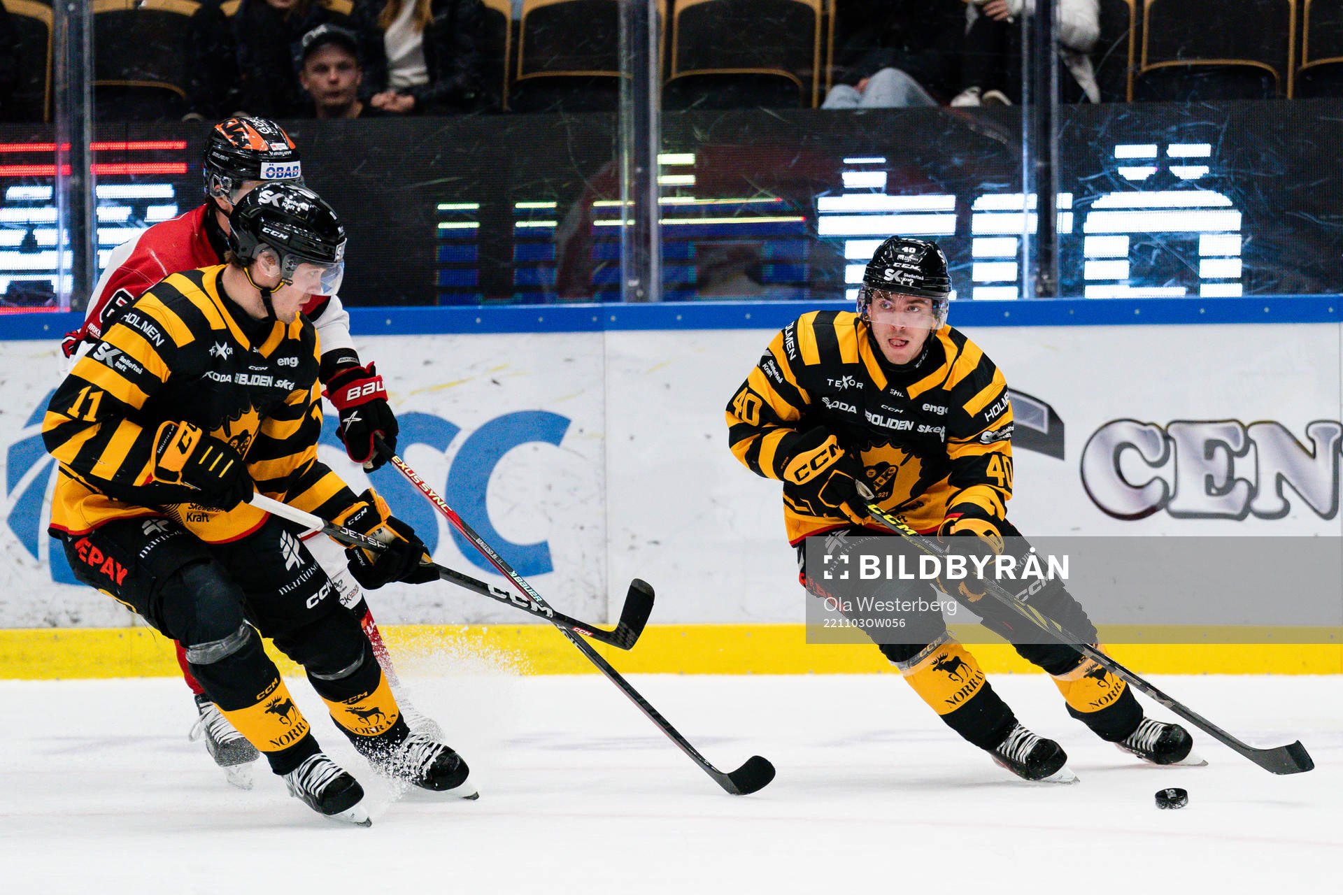 Skellefteås Andreas Wingerli och Max Lindholm