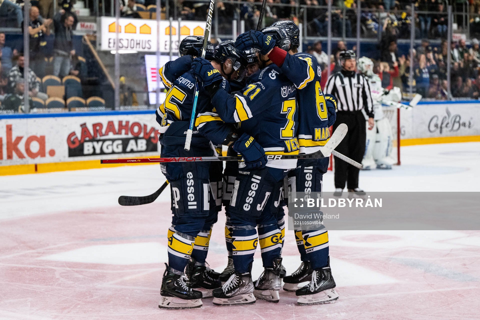 HV71s spelare jublar