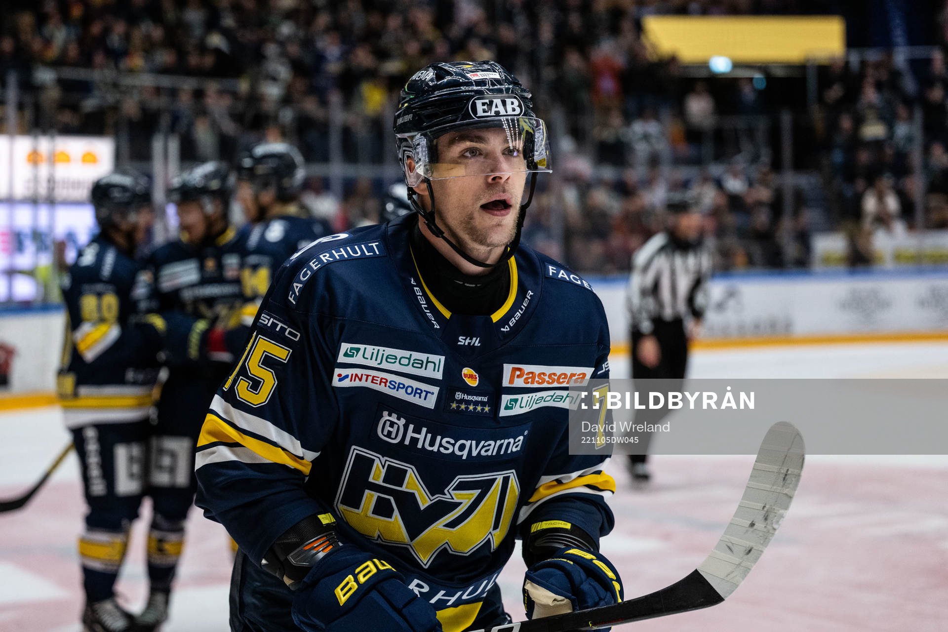 HV71s Radan Lenc jublar