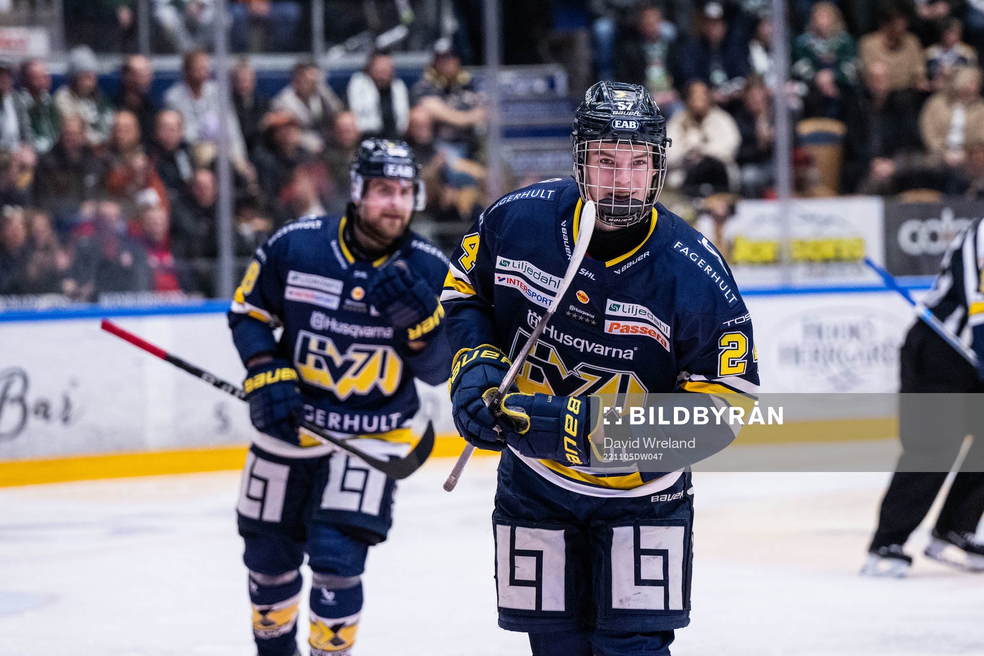 HV71s Oscar Fisker Molgaard jublar