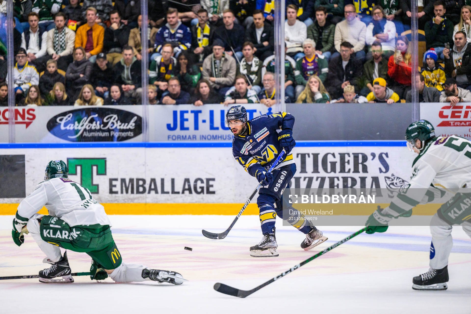 HV71s Tyler Vesel