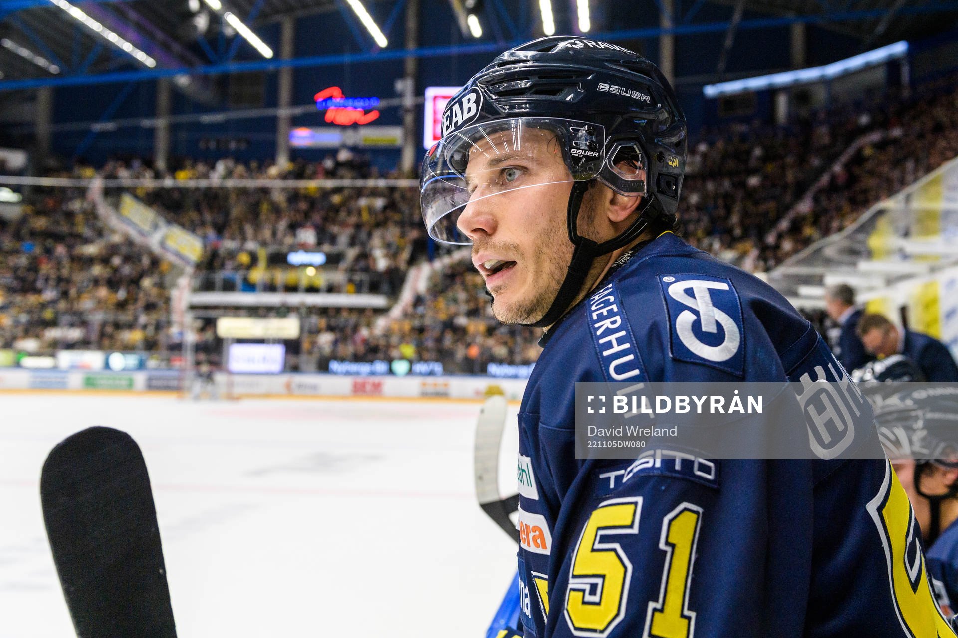 HV71s Andy Miele