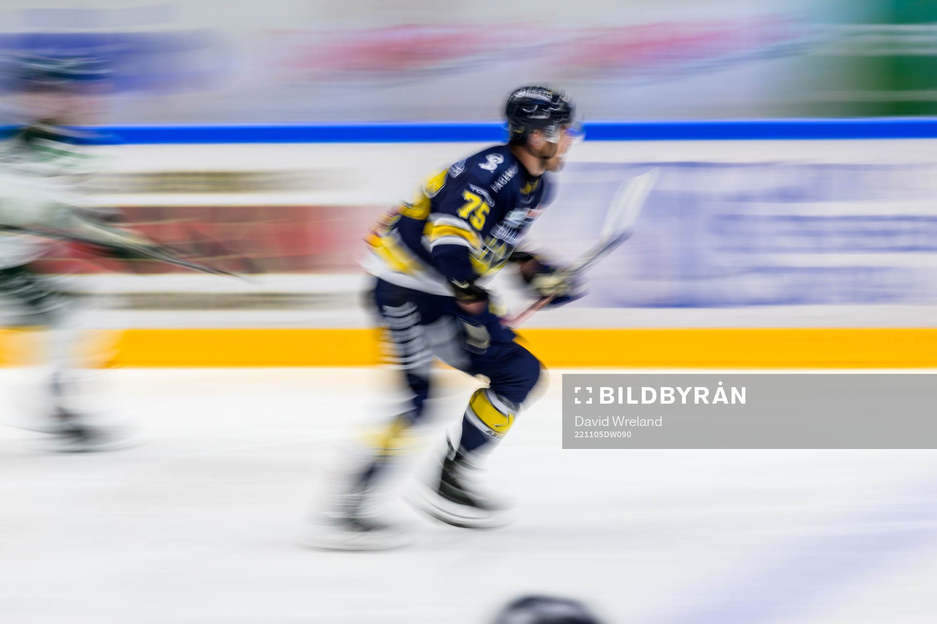 HV71s Radan Lenc