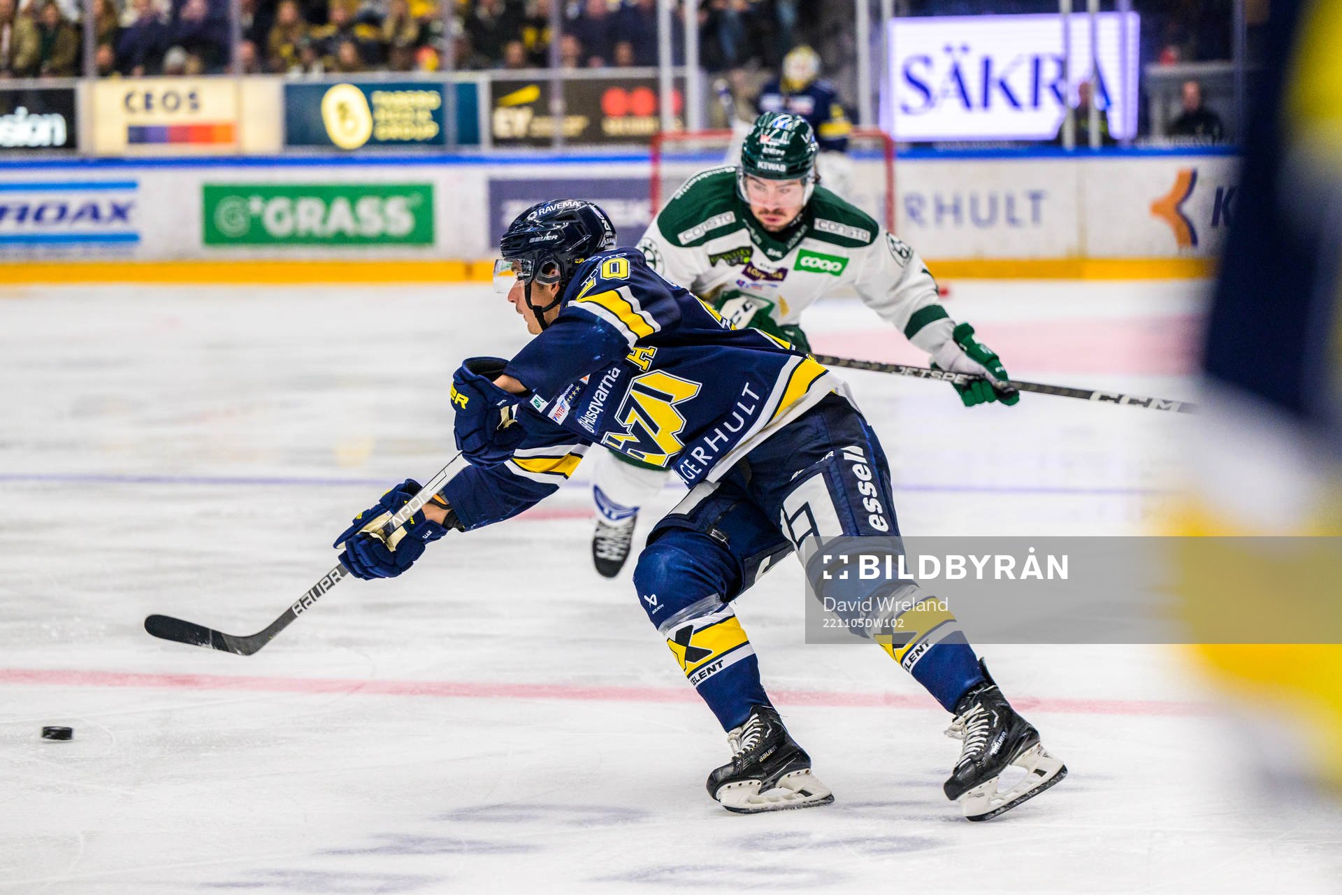 HV71s André Petersson