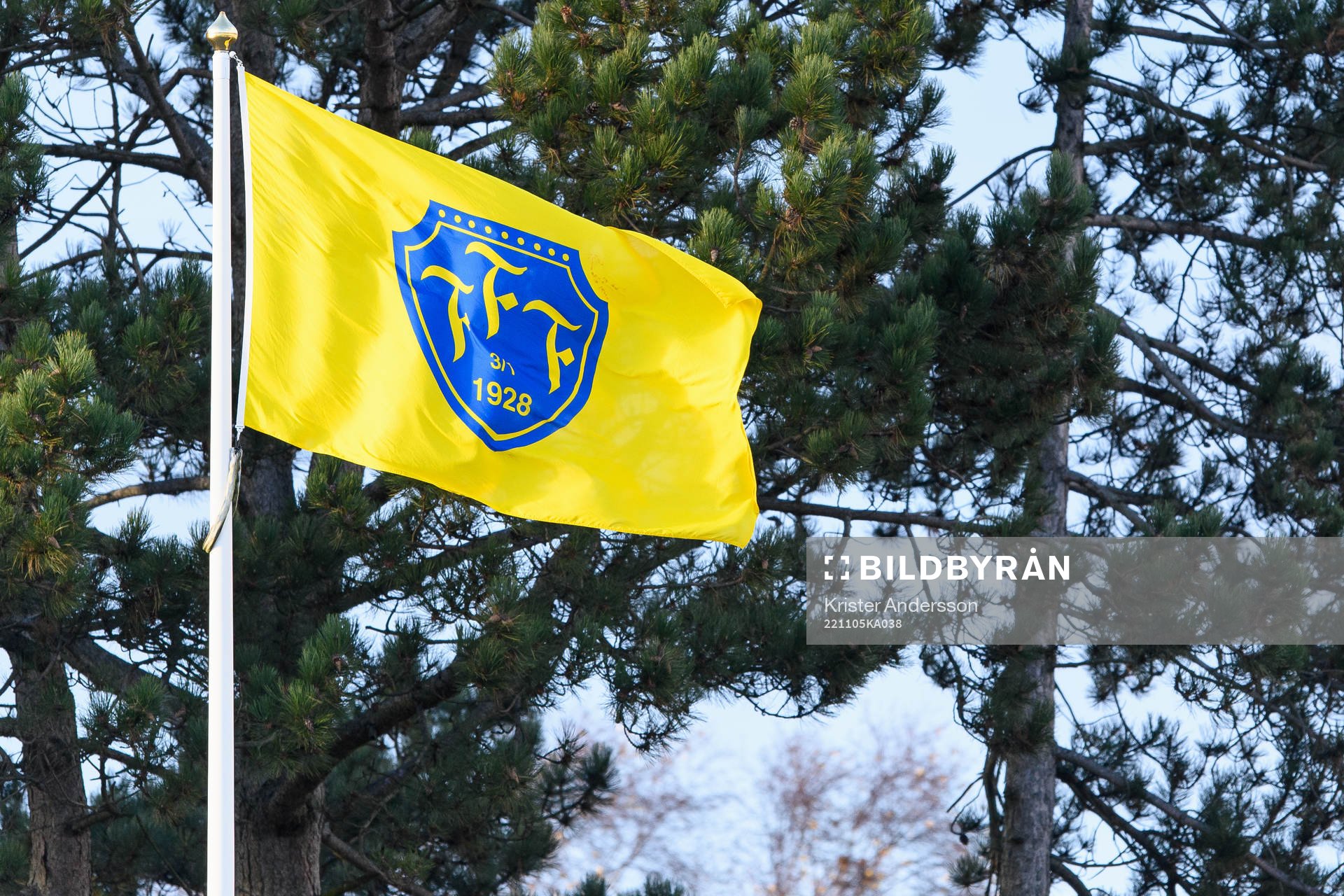 Falkenbergs flagga