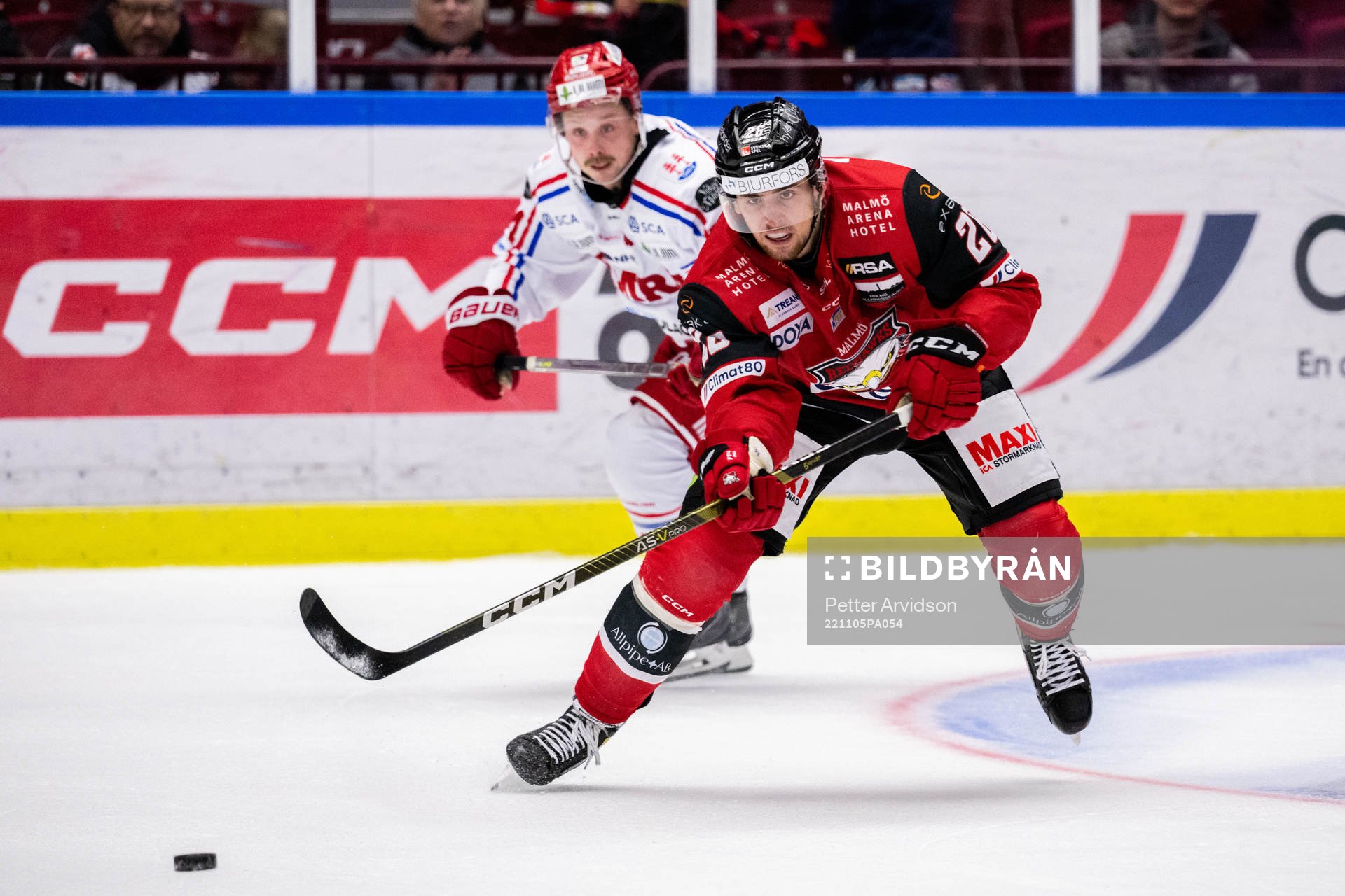 Malmö Redhawks Thomas Schemitsch