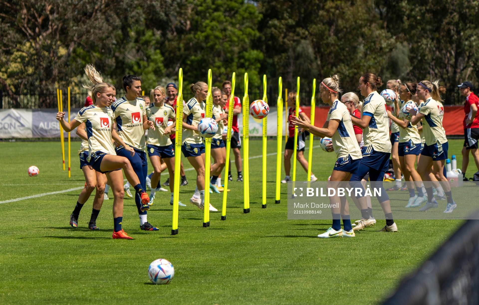 Players of the Swedish women's national football team