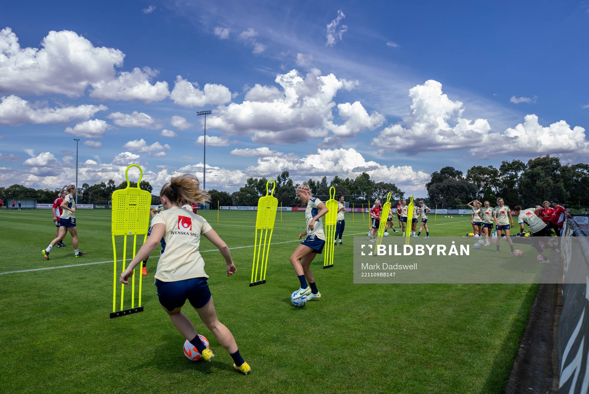 Players of the Swedish women's national football team