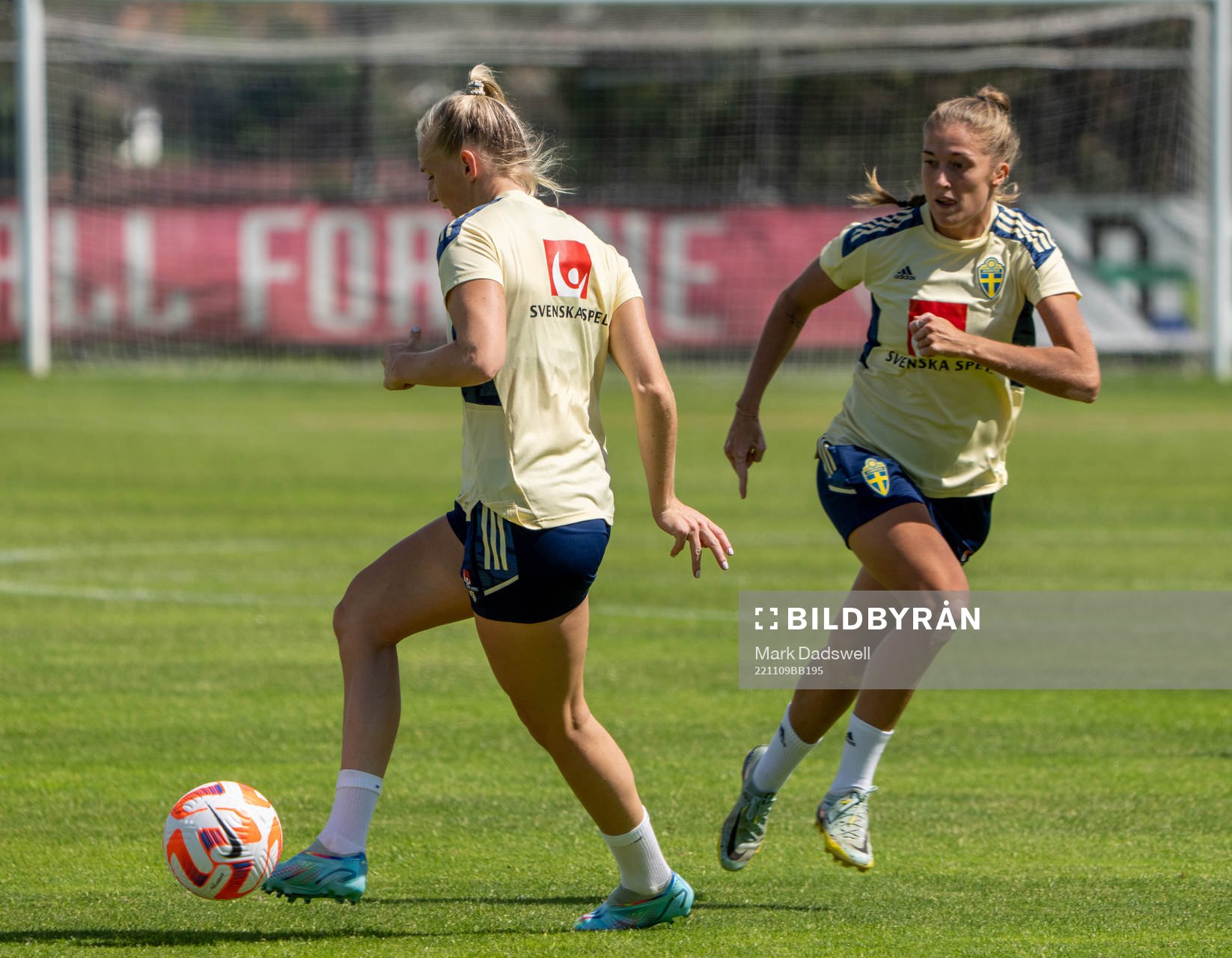 Stina Blackstenius and Filippa Angeldahl of the Swedish