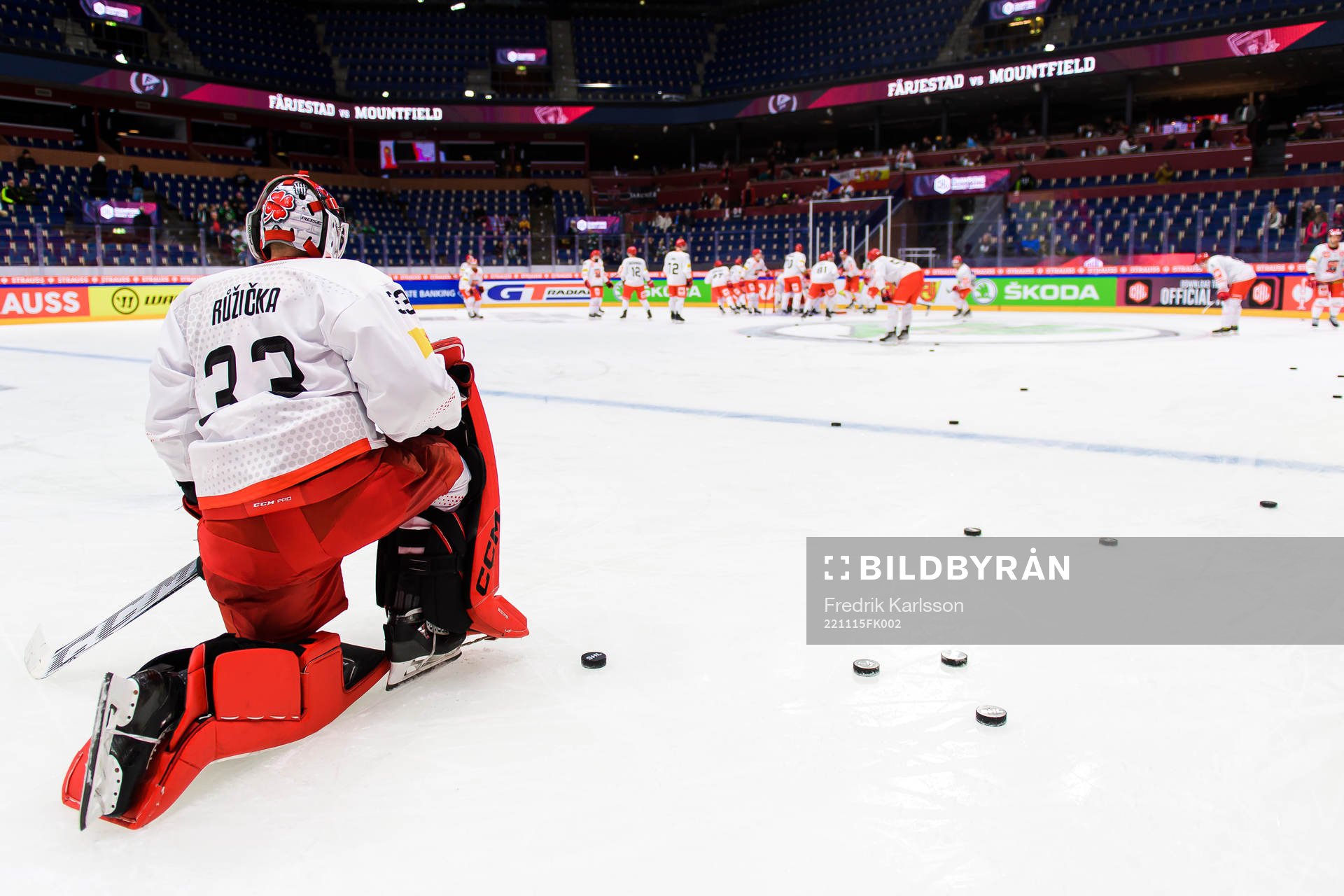 goaltender Jan Ruzicka of Mountfield