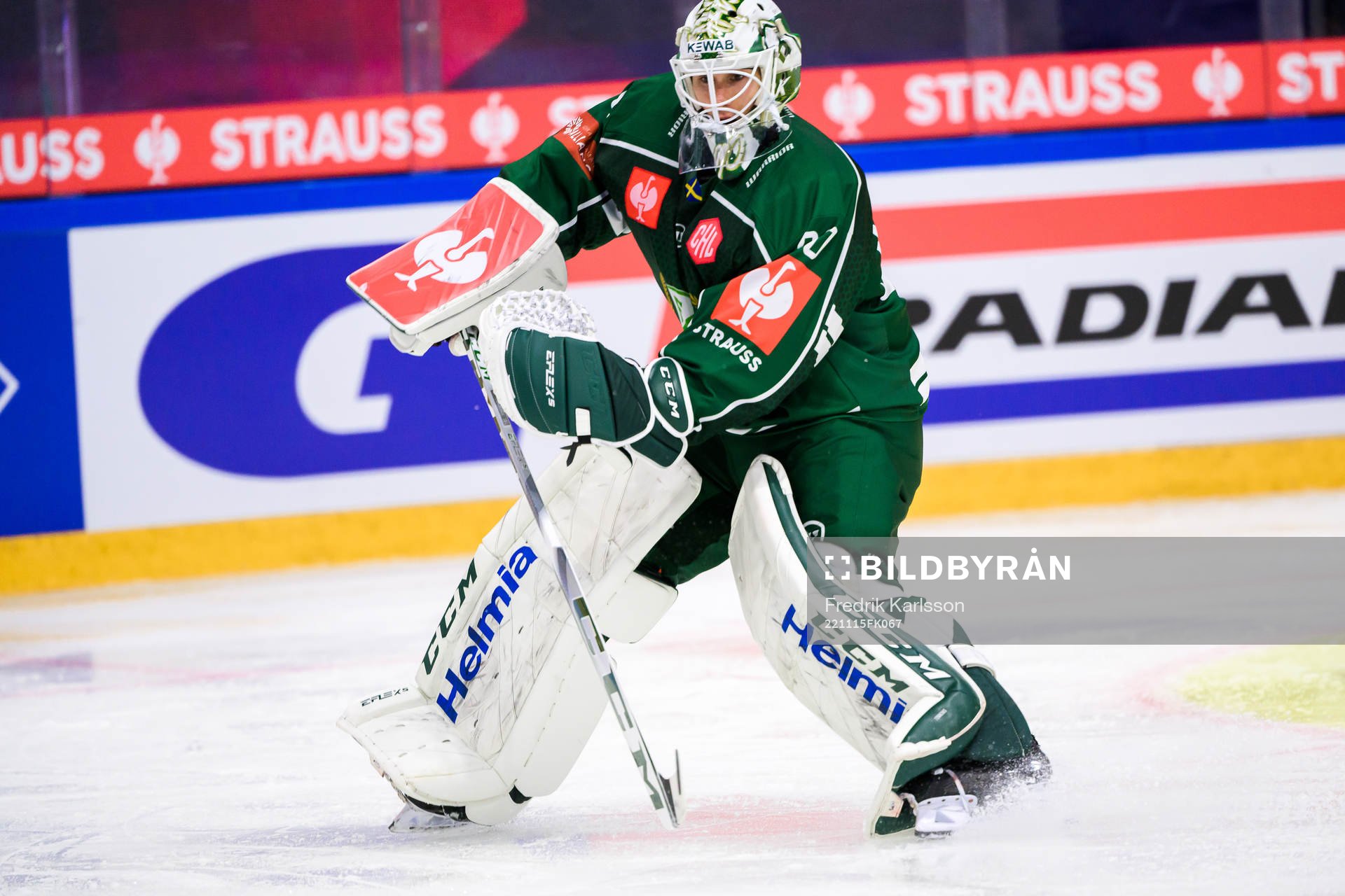 goaltender Matthew Tomkins  of Färjestad
