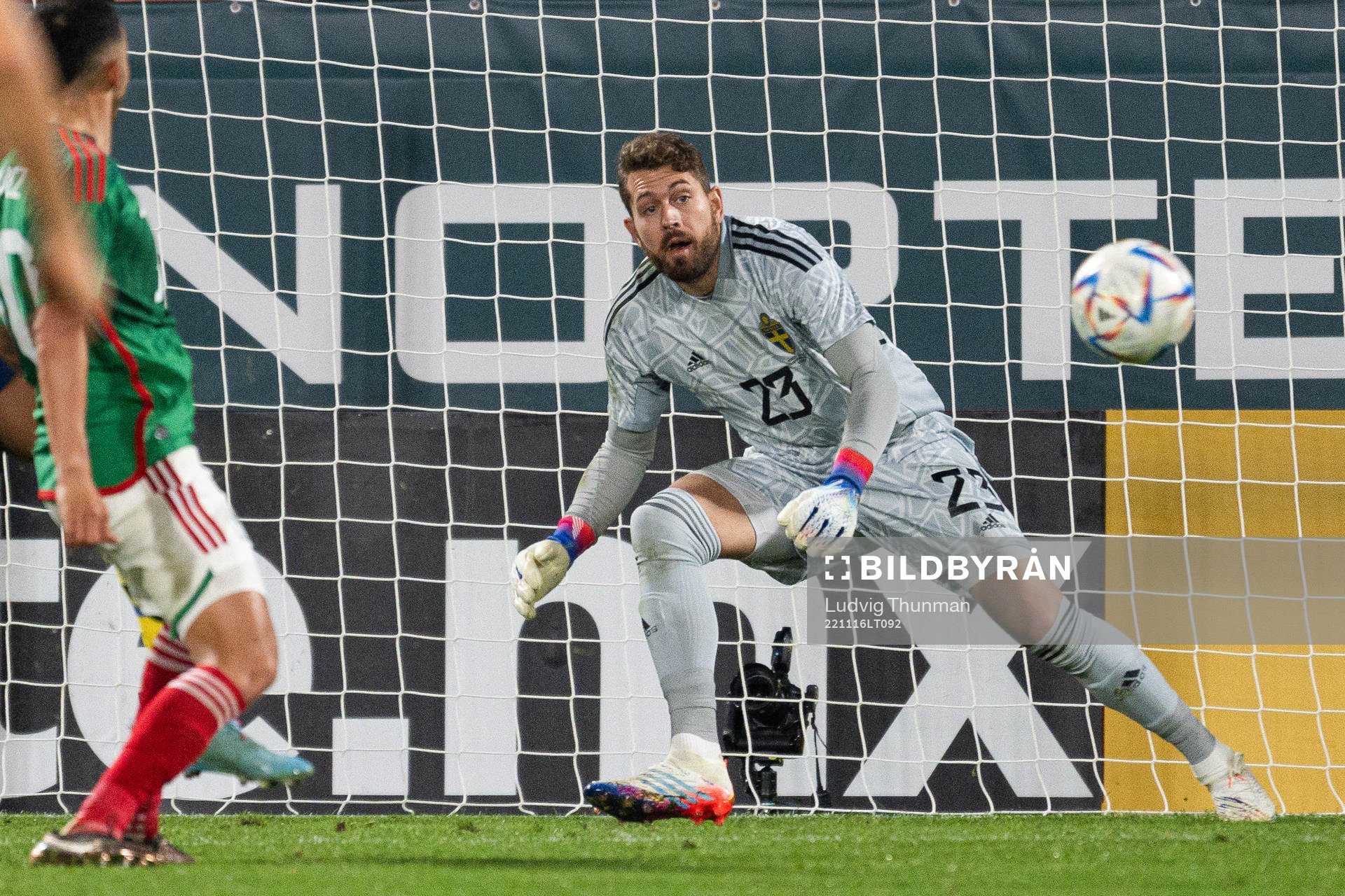 Goalkeeper Kristoffer Nordfeldt of Sweden