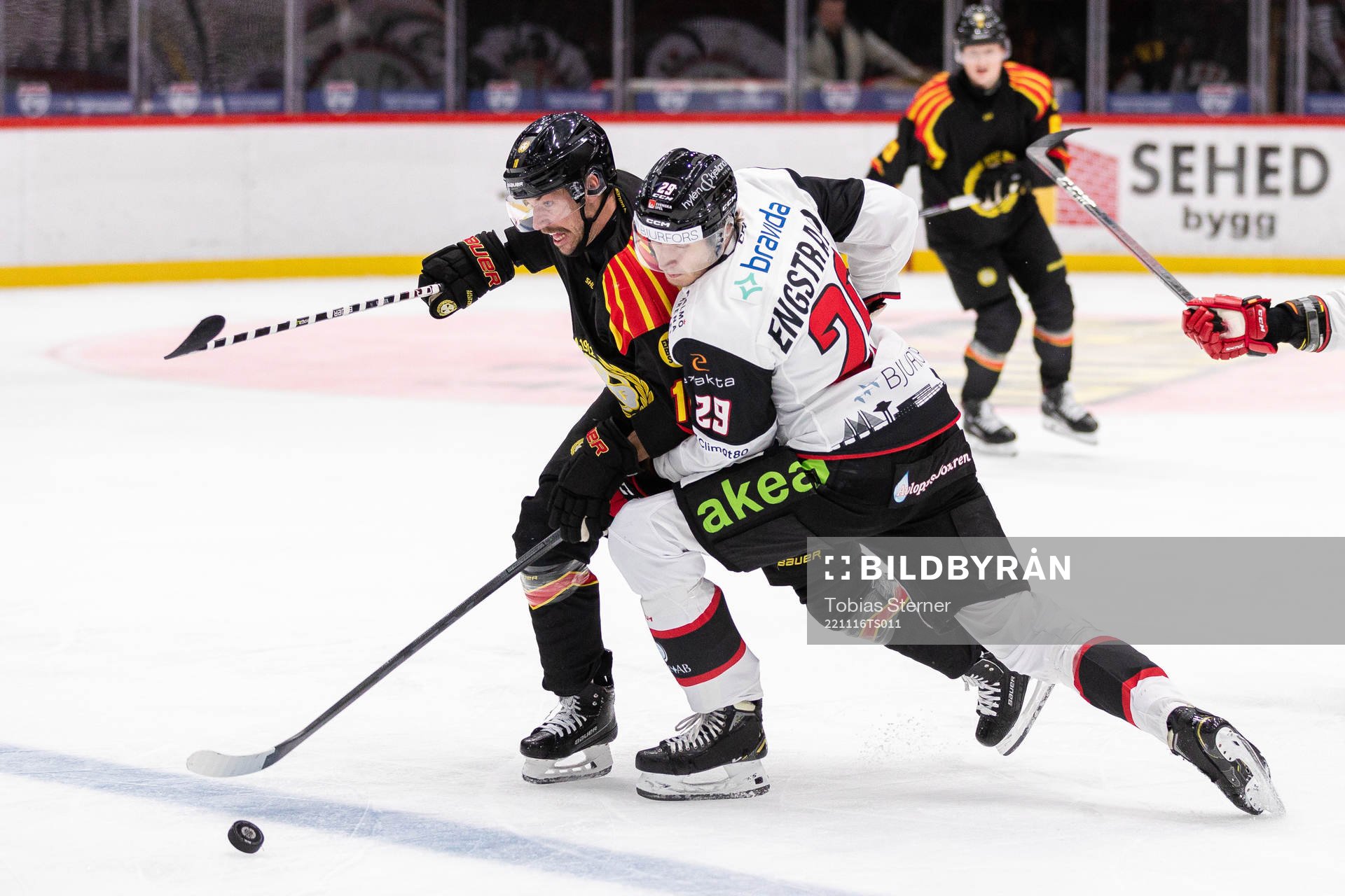 Brynäs Anton Rödin och Malmö Redhawks Eric Engstrand