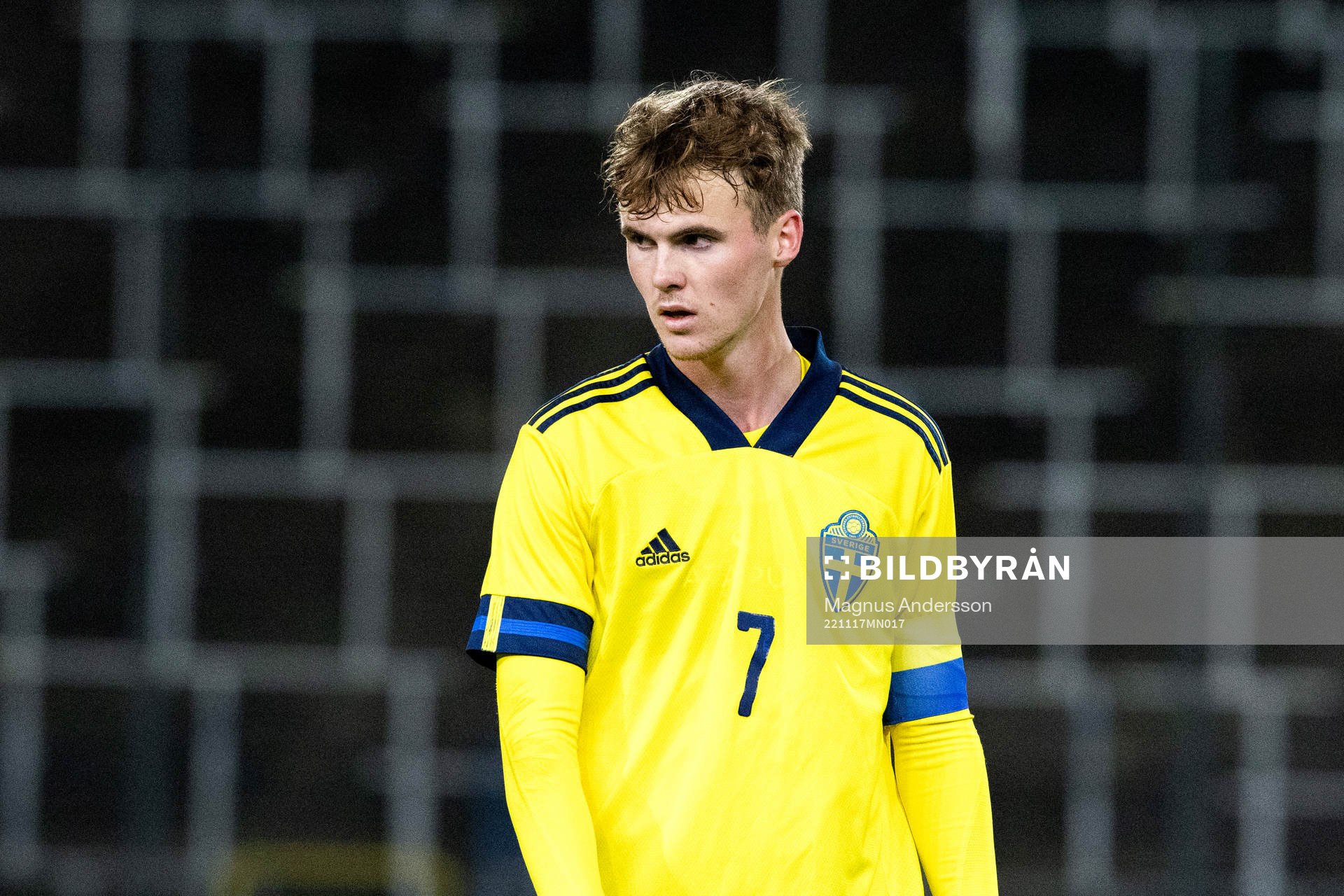 Sveriges Williot Swedberg