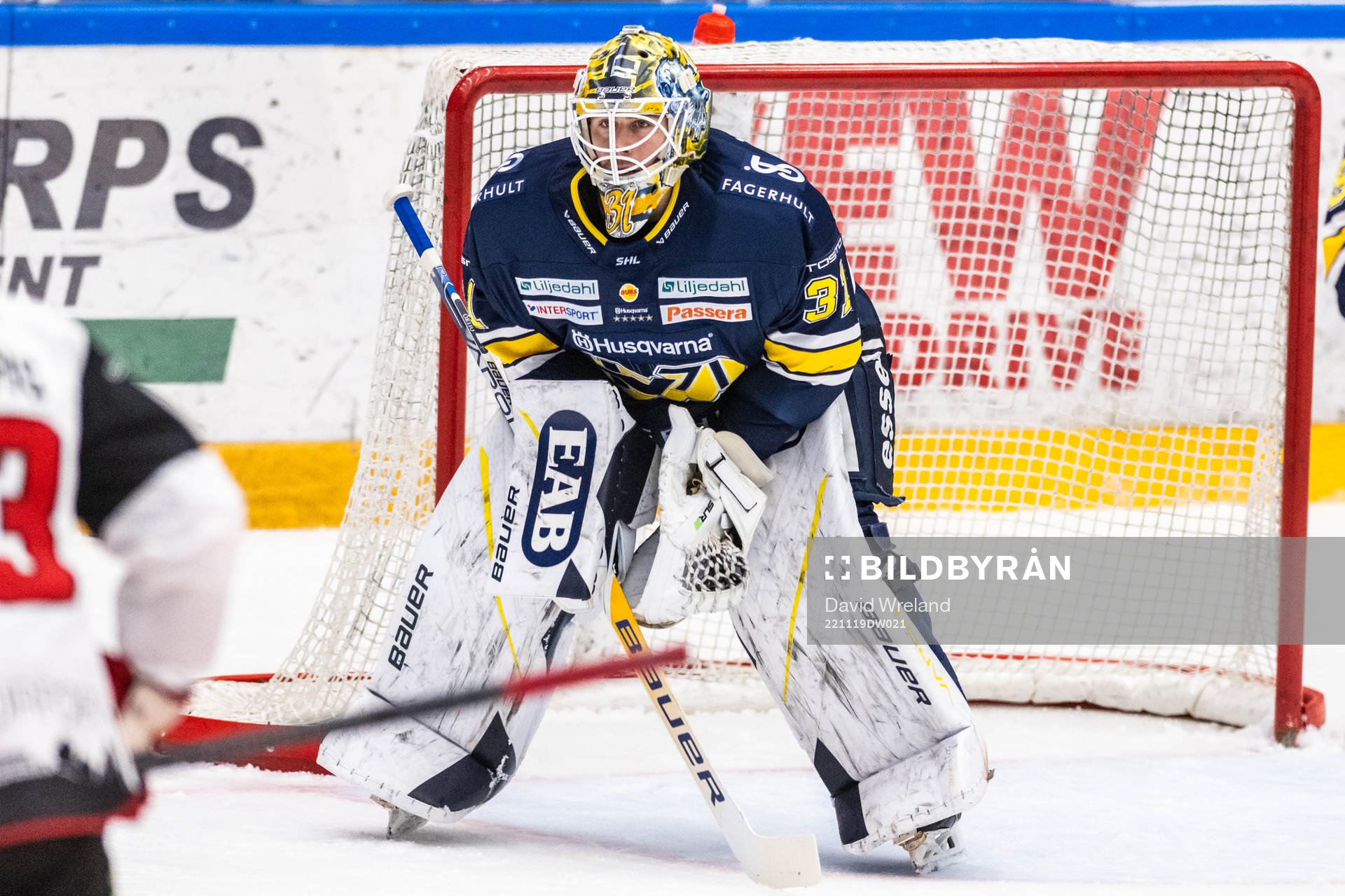 HV71s målvakt Joni Ortio