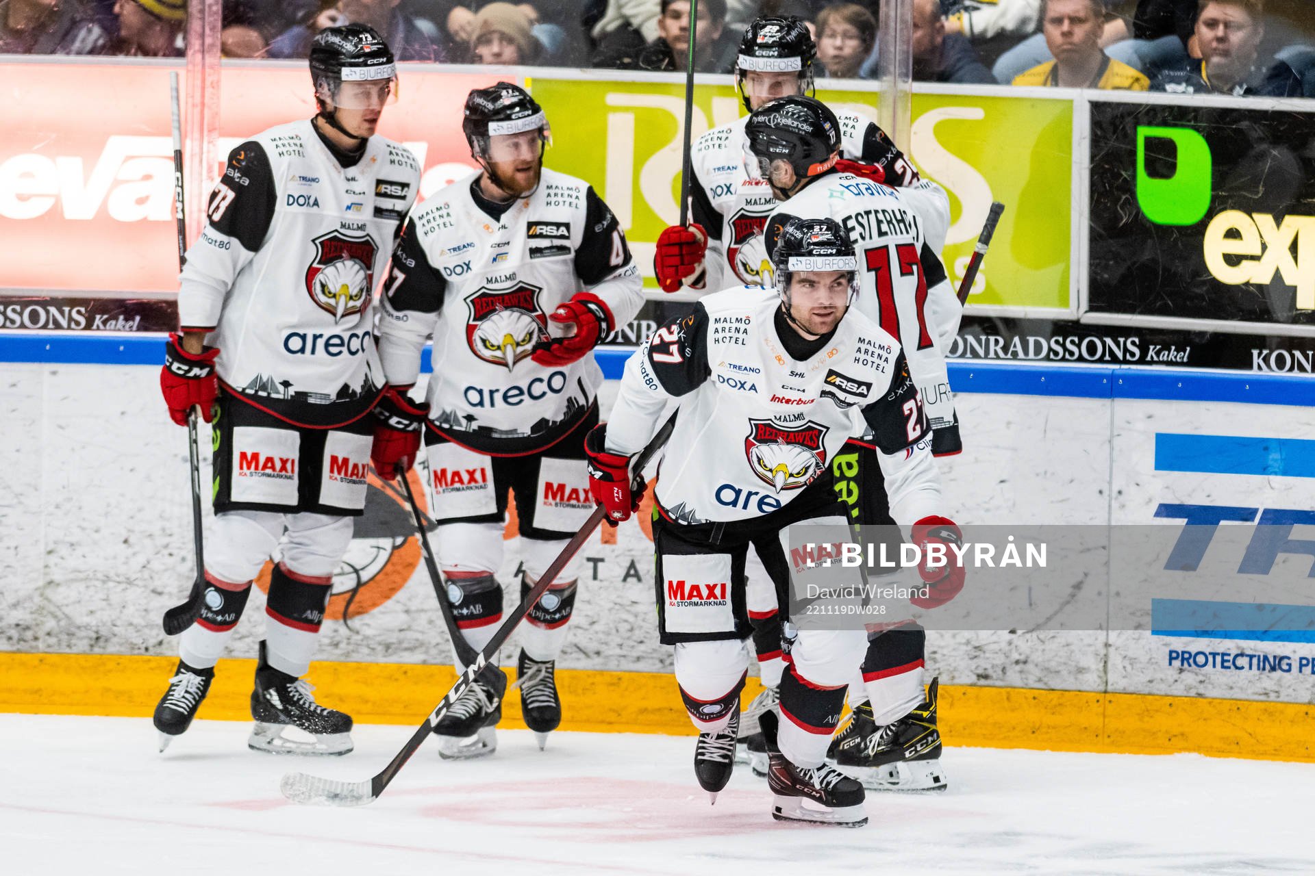 Malmö Redhawks Ponthus Westerholm jublar