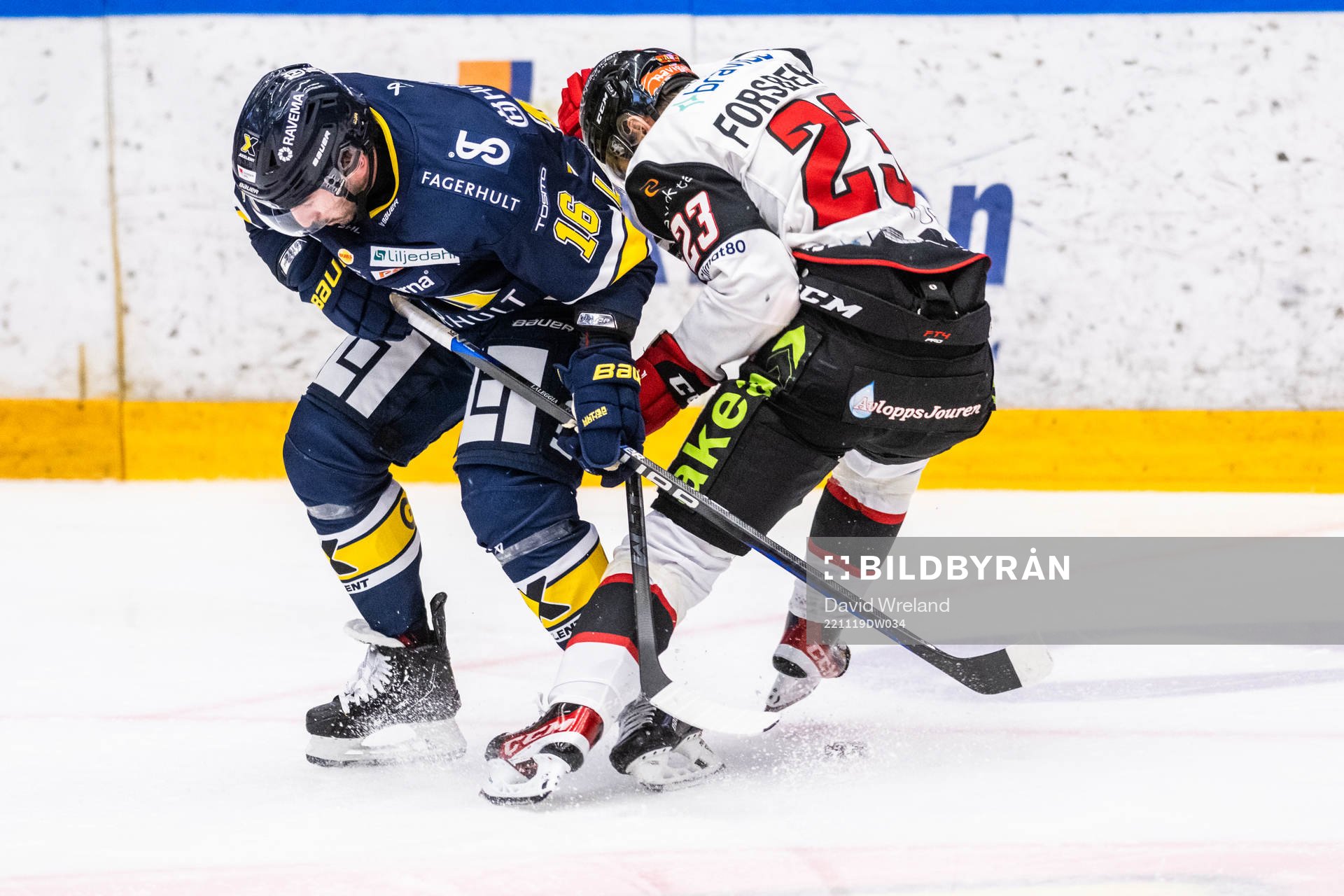 HV71s Joseph Laleggia och Malmö Redhawks Christoffer