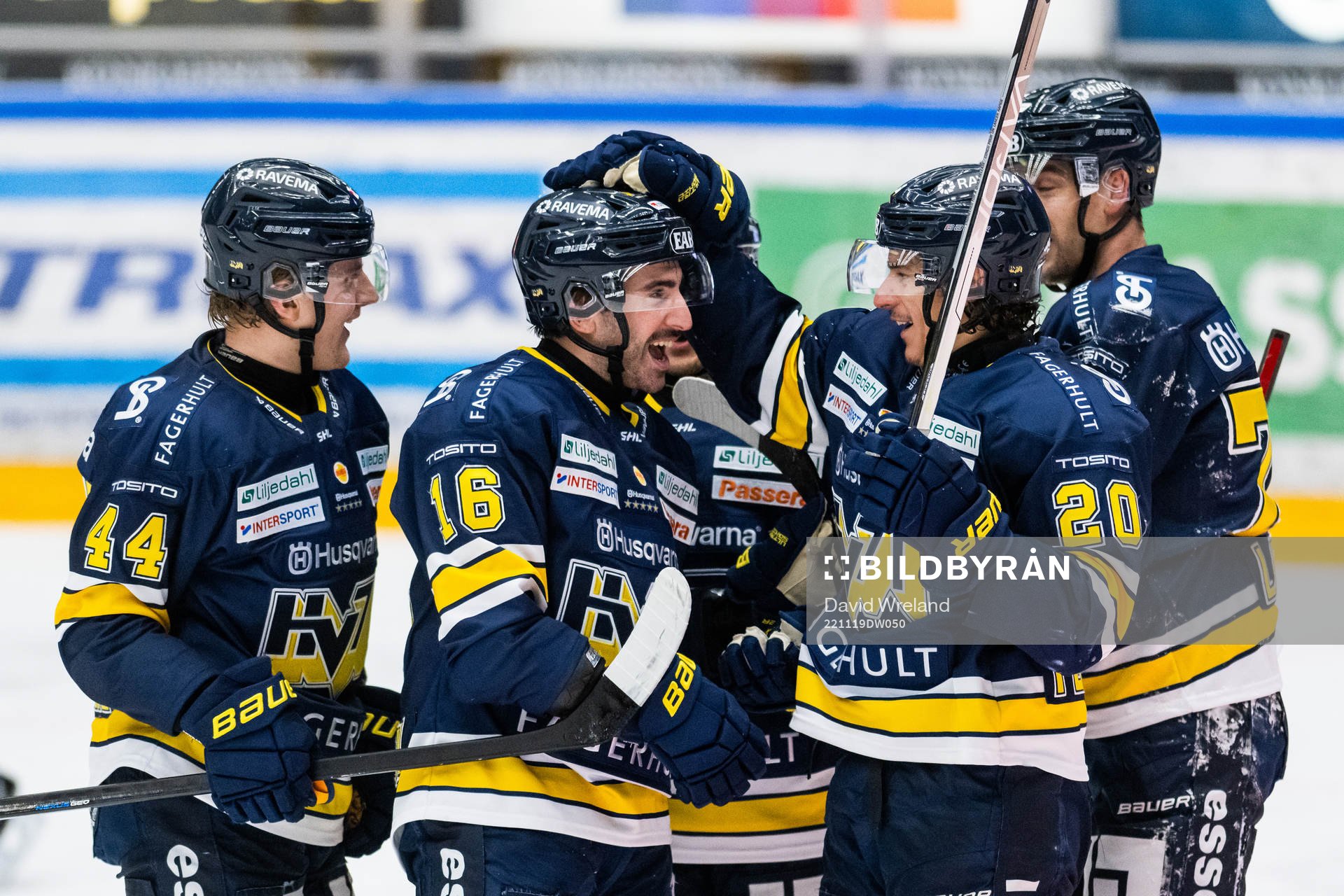HV71s Joseph Laleggia jublar med lagkamrater