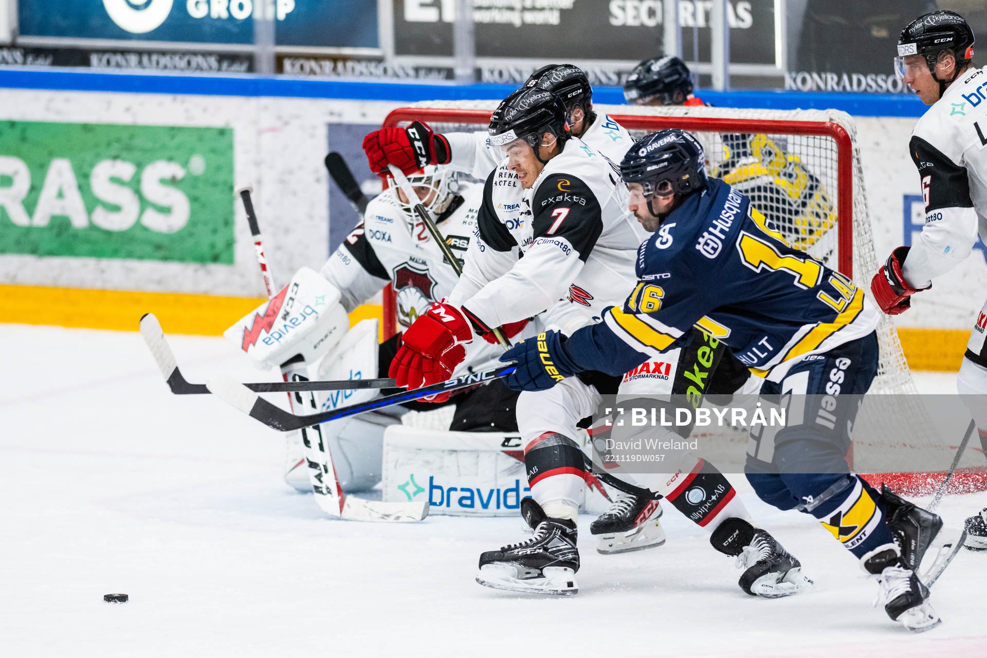 Malmö Redhawks Oliver Lauridsen och HV71s Joseph Laleggia