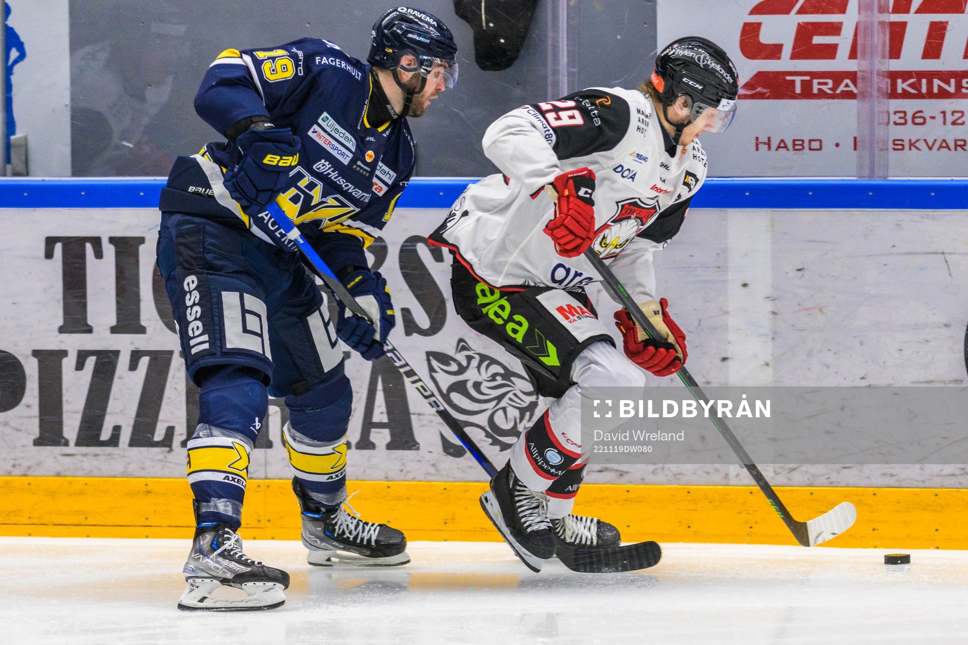 HV71s Sam Vigneault och Malmö Redhawks Eric Engstrand
