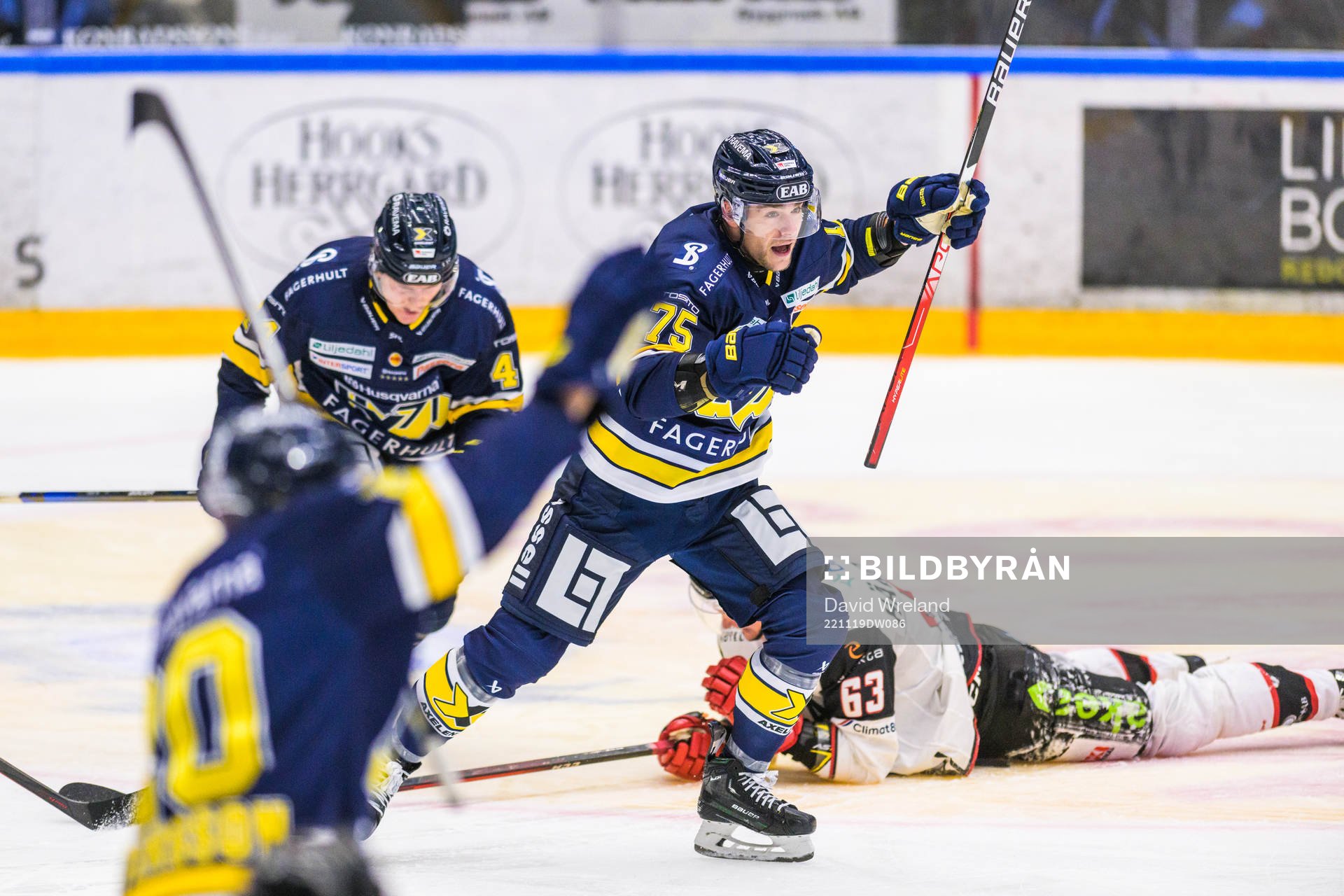 HV71s Radan Lenc jublar