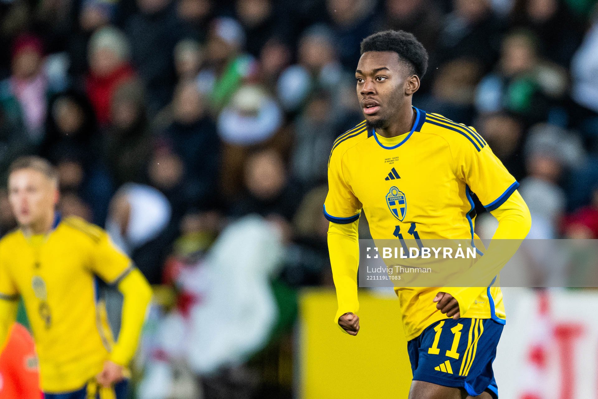 Anthony Elanga of Sweden
